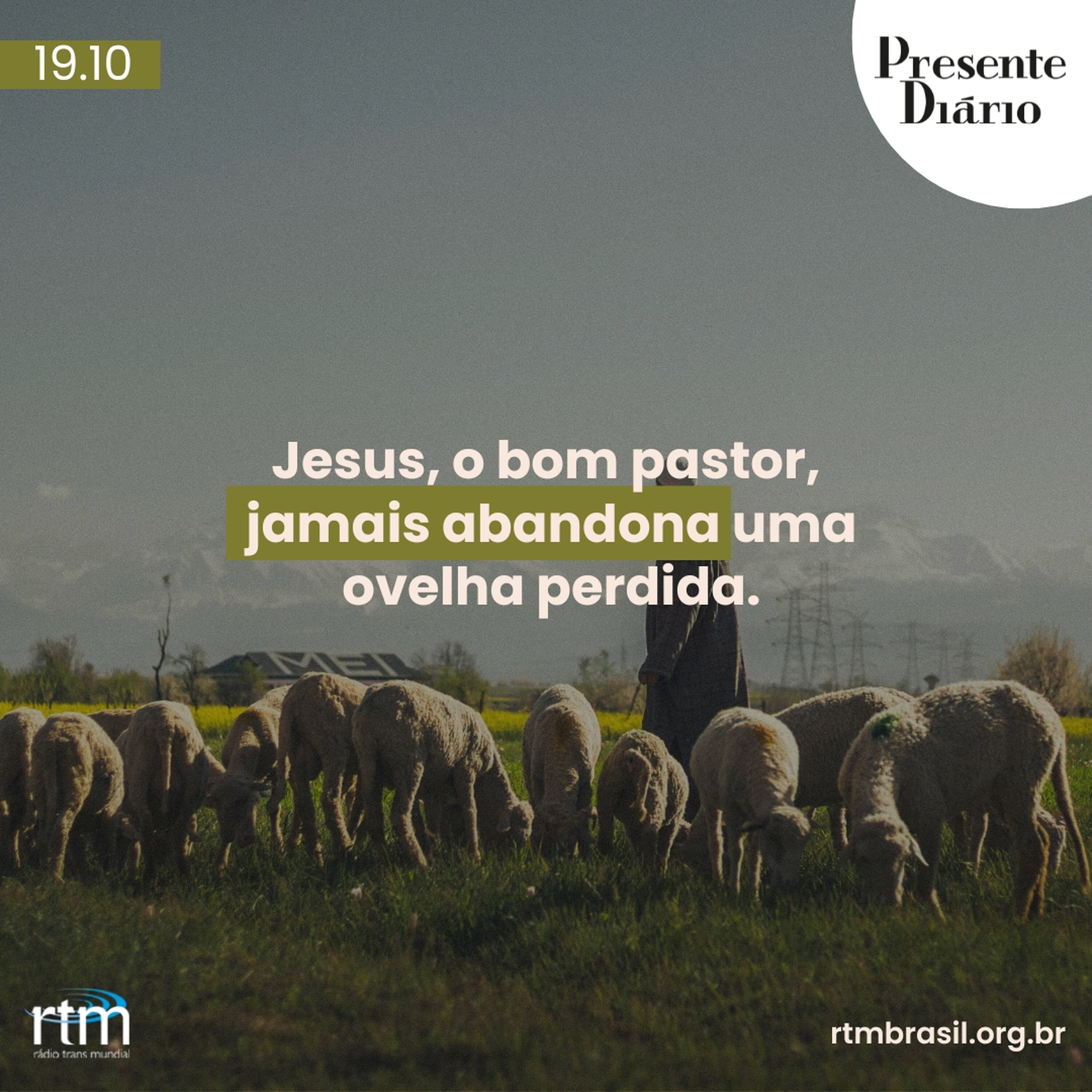 Ovelha perdida