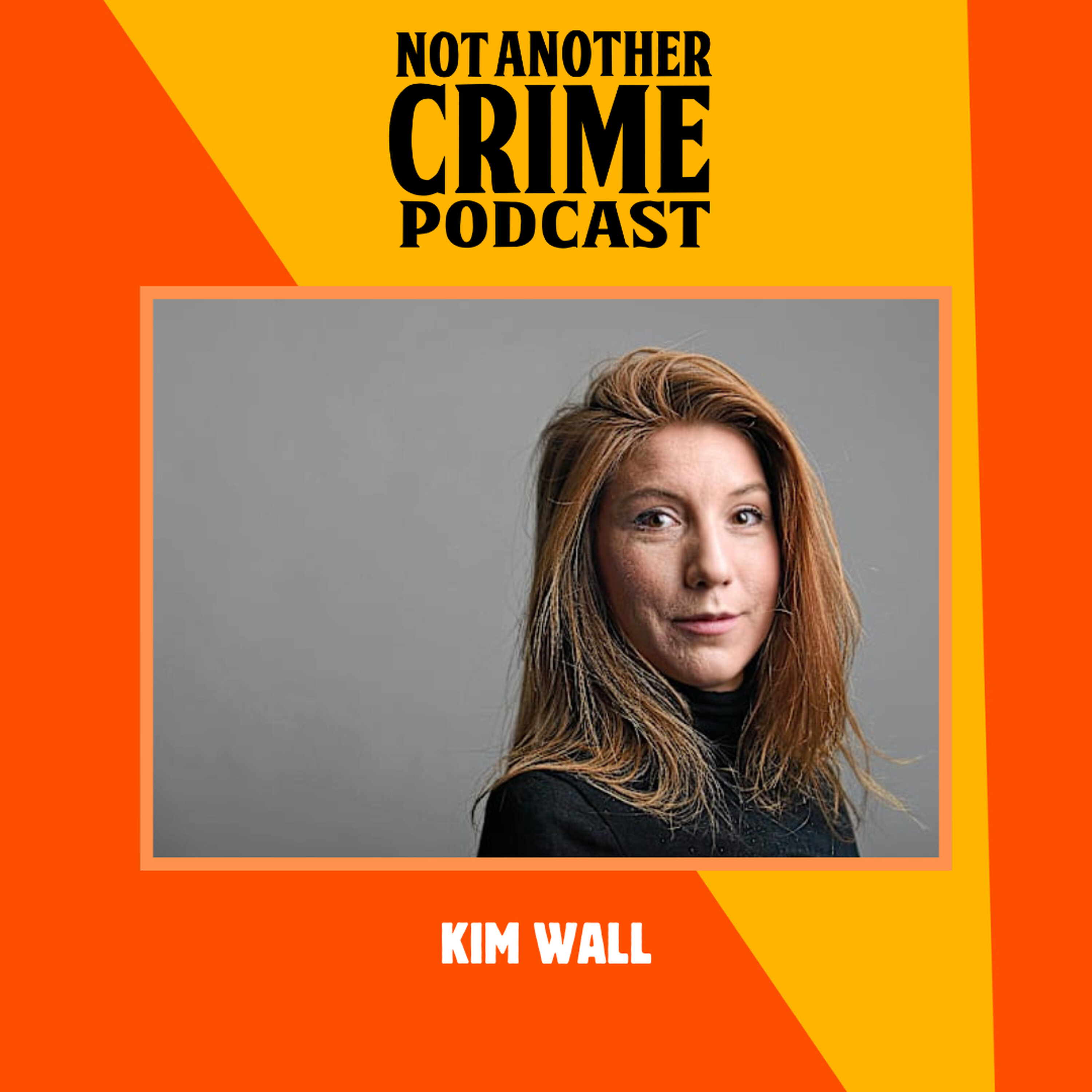 Kim Wall episode artwork