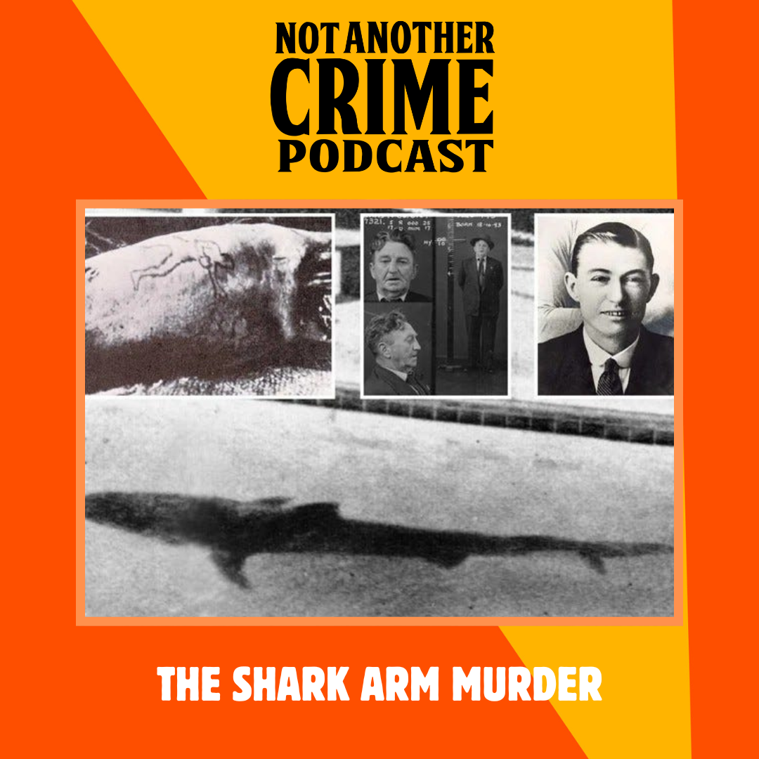 BONUS: The Shark Arm Murder with Jackson Baily episode artwork