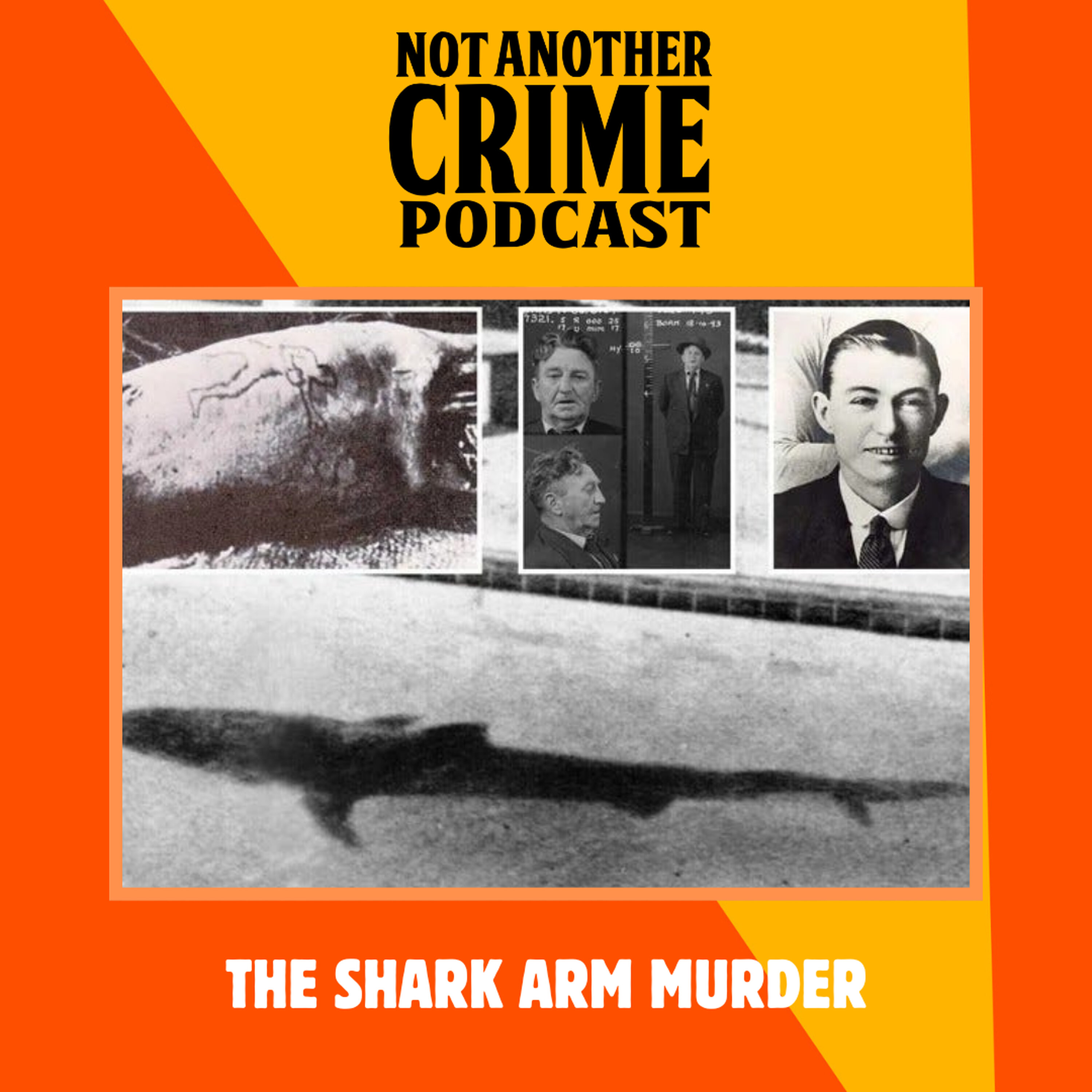 BONUS: The Shark Arm Murder with Jackson Baily