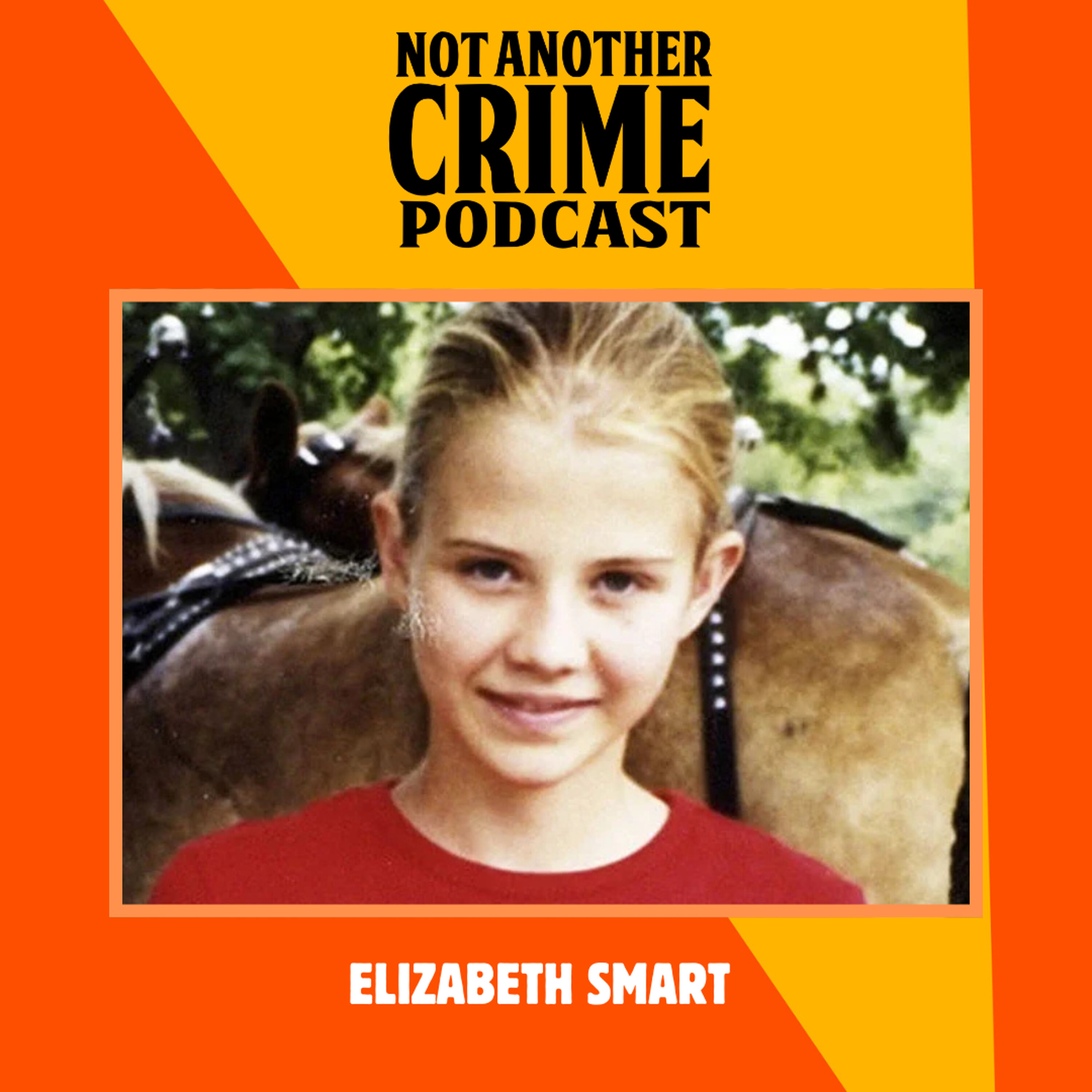 Elizabeth Smart episode artwork