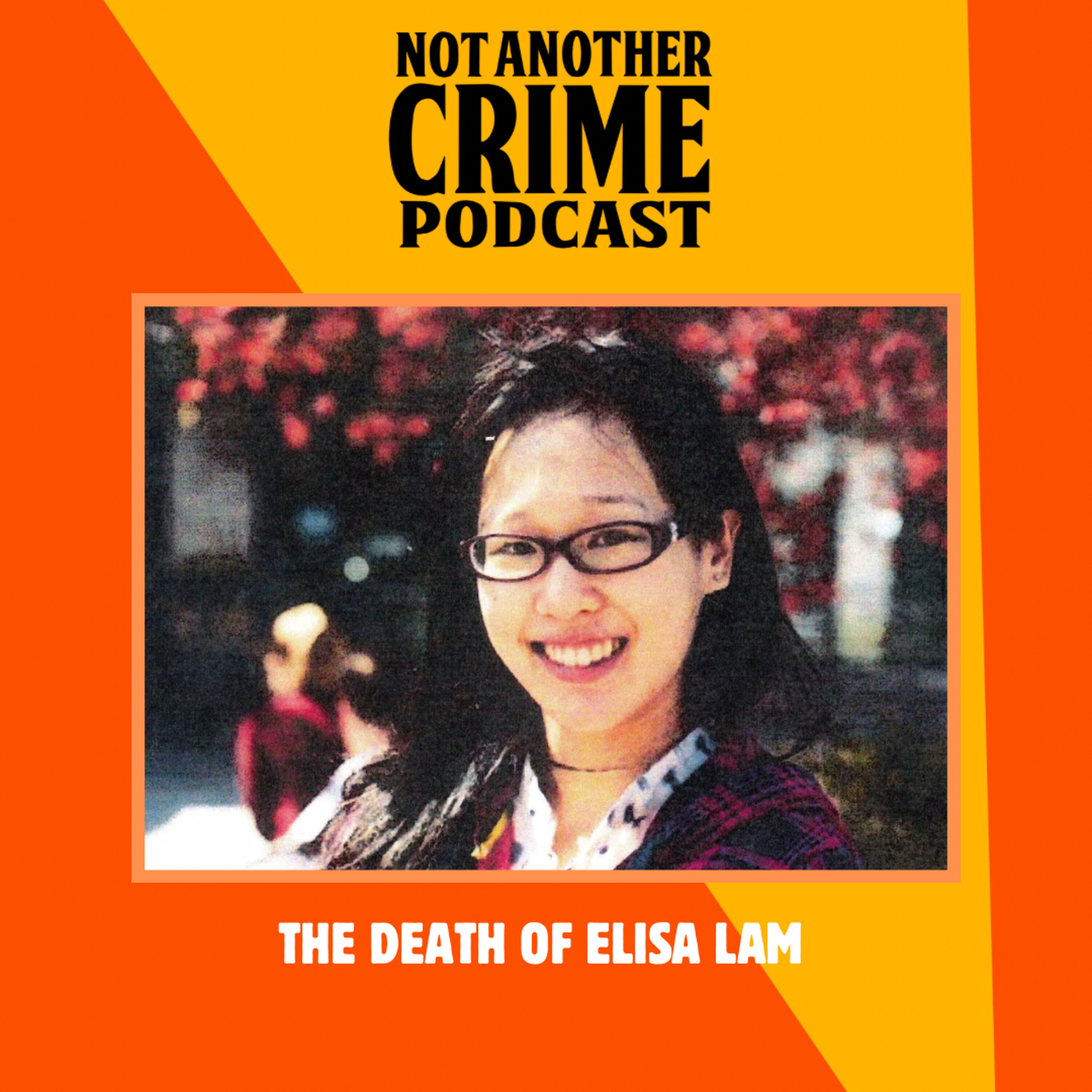 The death of Elisa Lam episode artwork