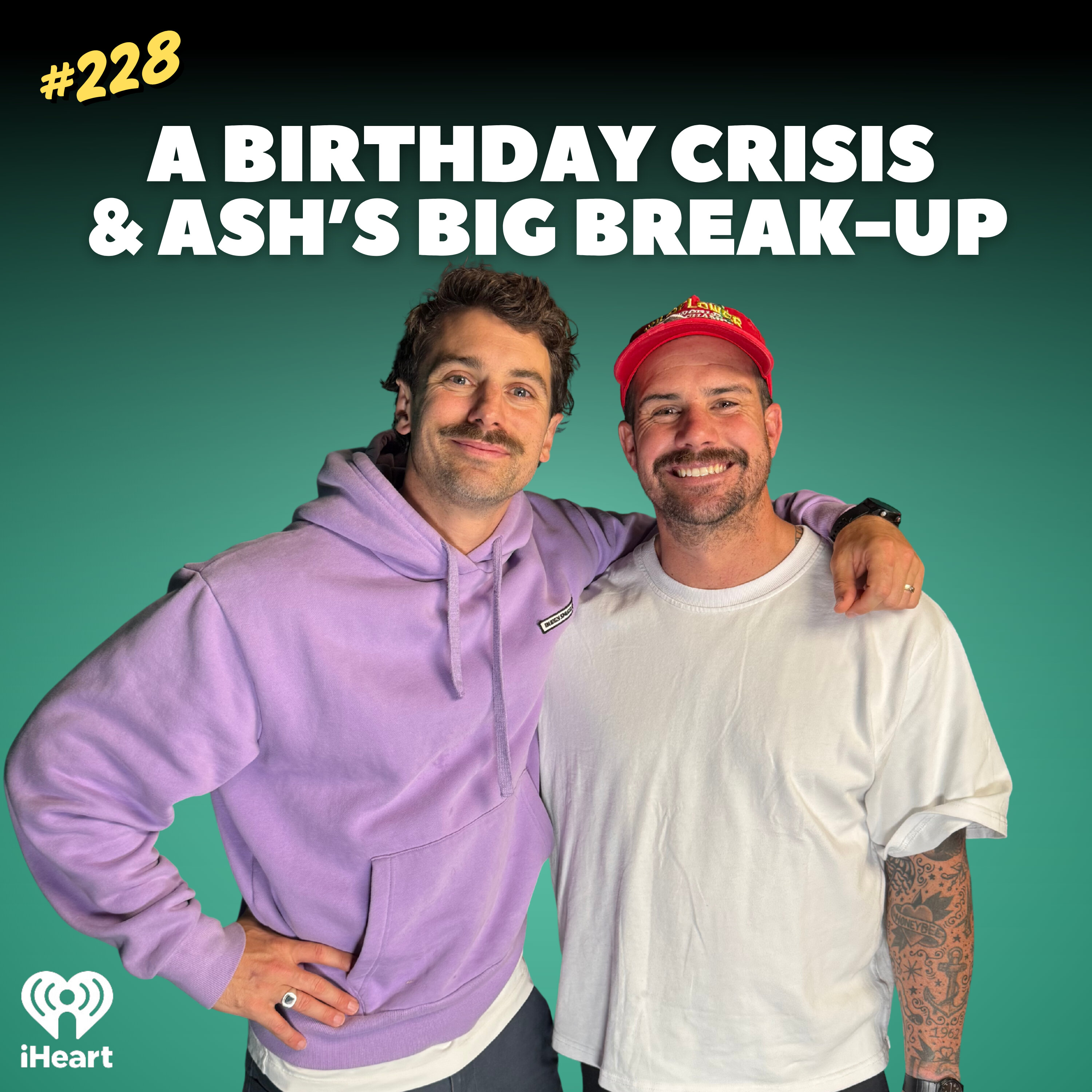 #228 A Birthday Crisis & Ash's Big Breakup episode artwork