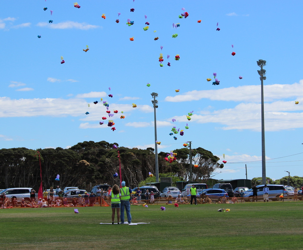 Darren Kerwin- Teddy bear and Kite Fest 2026 Tony Reid episode artwork