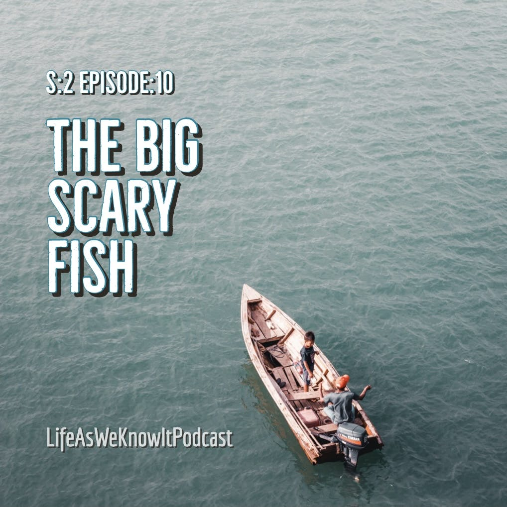 S2 EP10 The Big Scary Fish