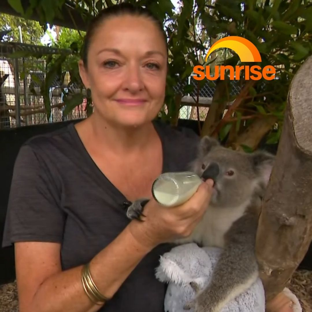 Brave volunteers scale new heights to save a stranded Joey