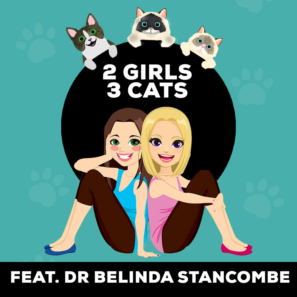 Get The Scoop On Your Cat's Poop With Dr. Belinda Stancombe 💩