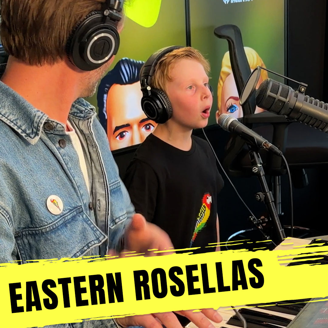🎵 7-Year-Old Miles Sings His VIRAL Hit 'Eastern Rosellas' LIVE!