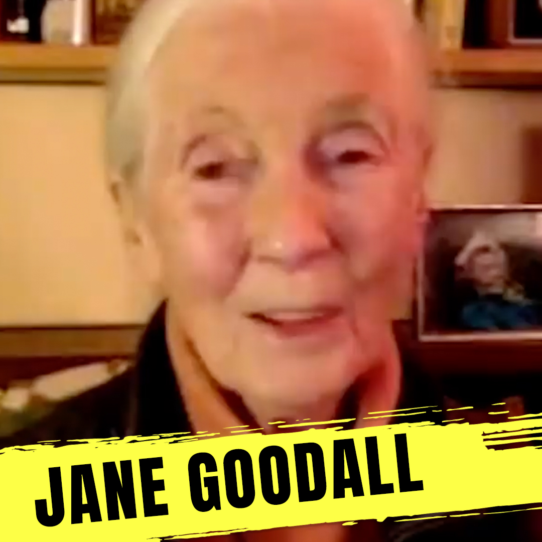 ⏮️ From The Archives: DR JANE GOODALL (Exclusive Chat)