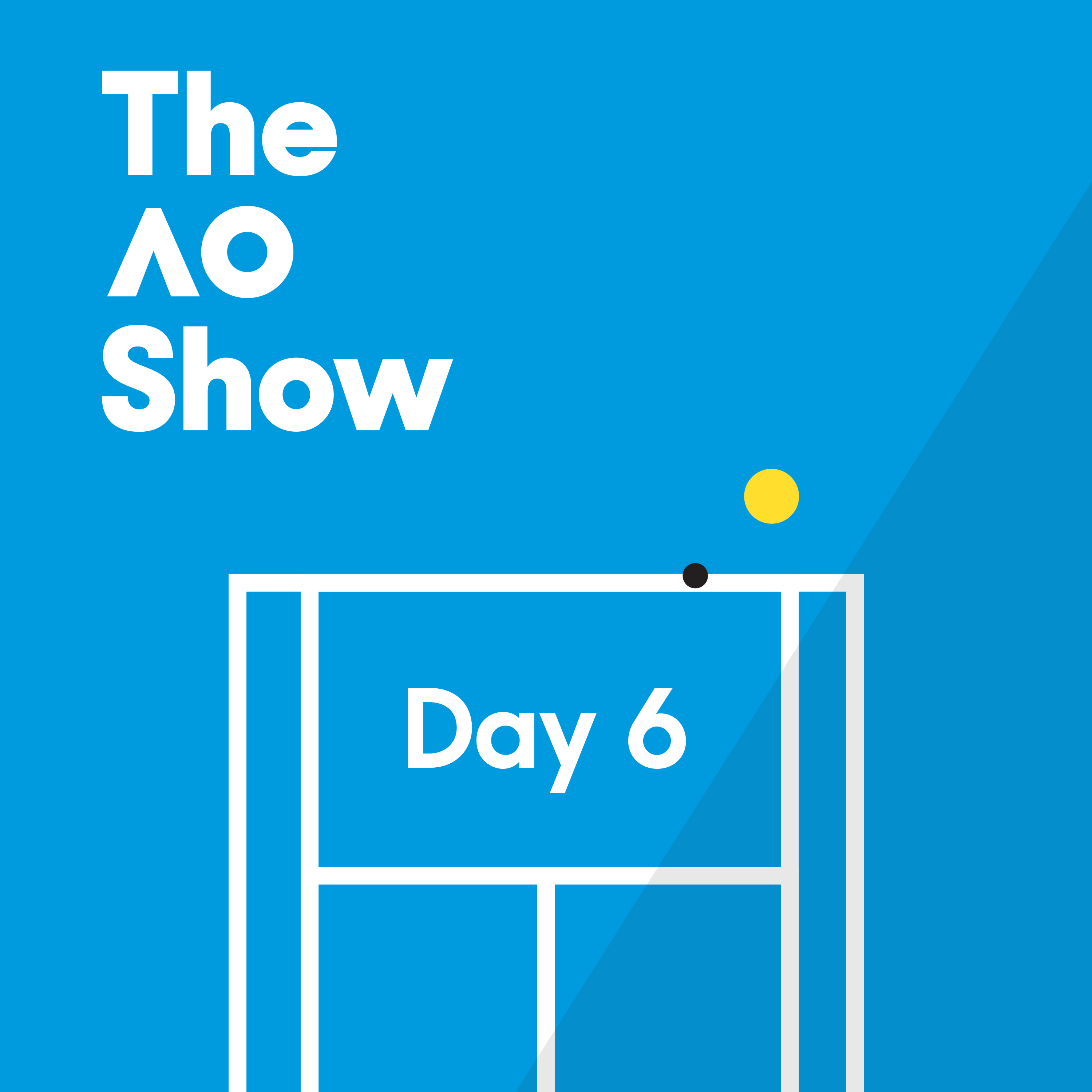 Day 6: Krejcikova weathers Storm, Demon and Djoker advance, Millman’s last dance