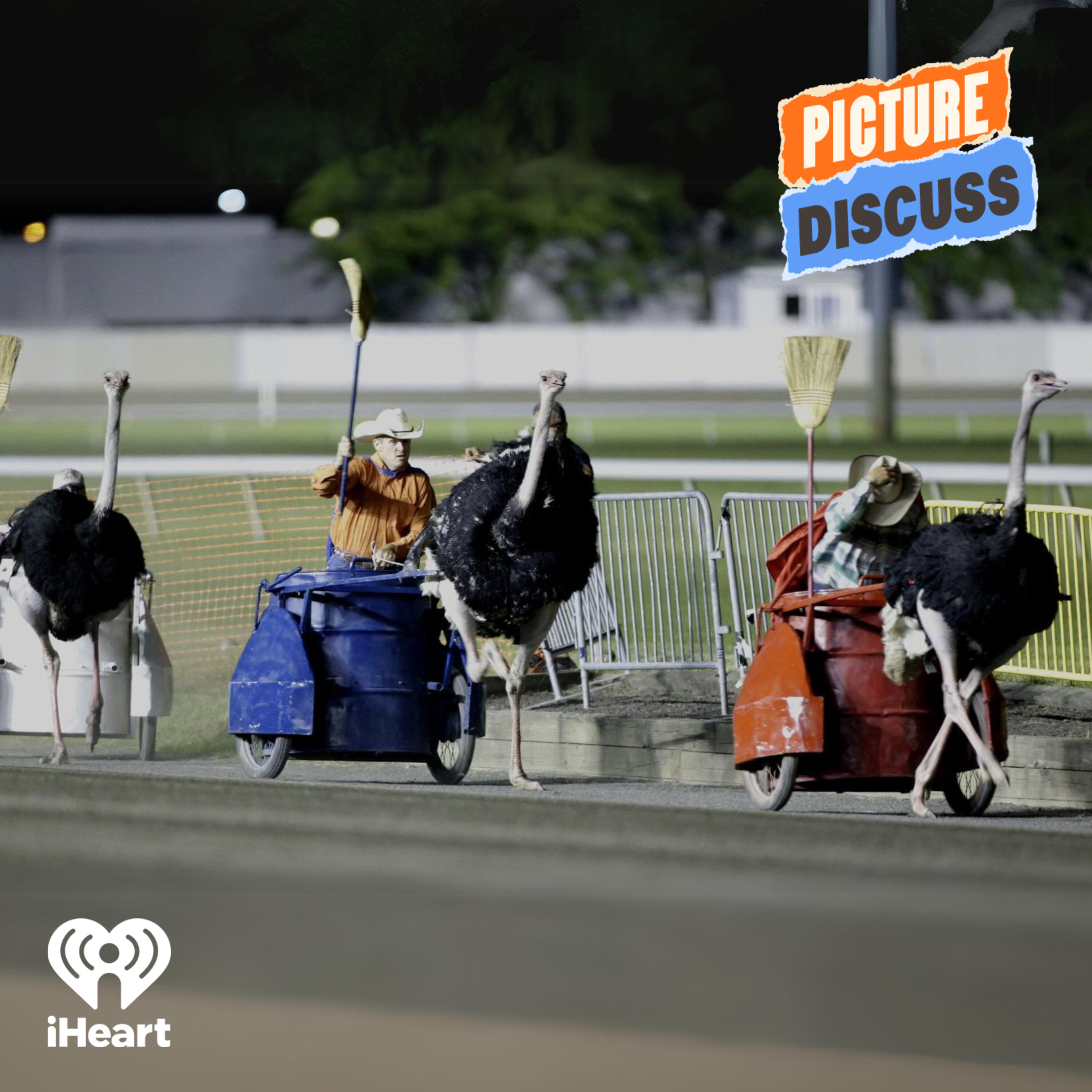 Ostrich Racing (Geraldine Hickey & Zoe Coombs Marr) Ostrich Racing (Geraldine Hickey & Zoe Coombs Marr)