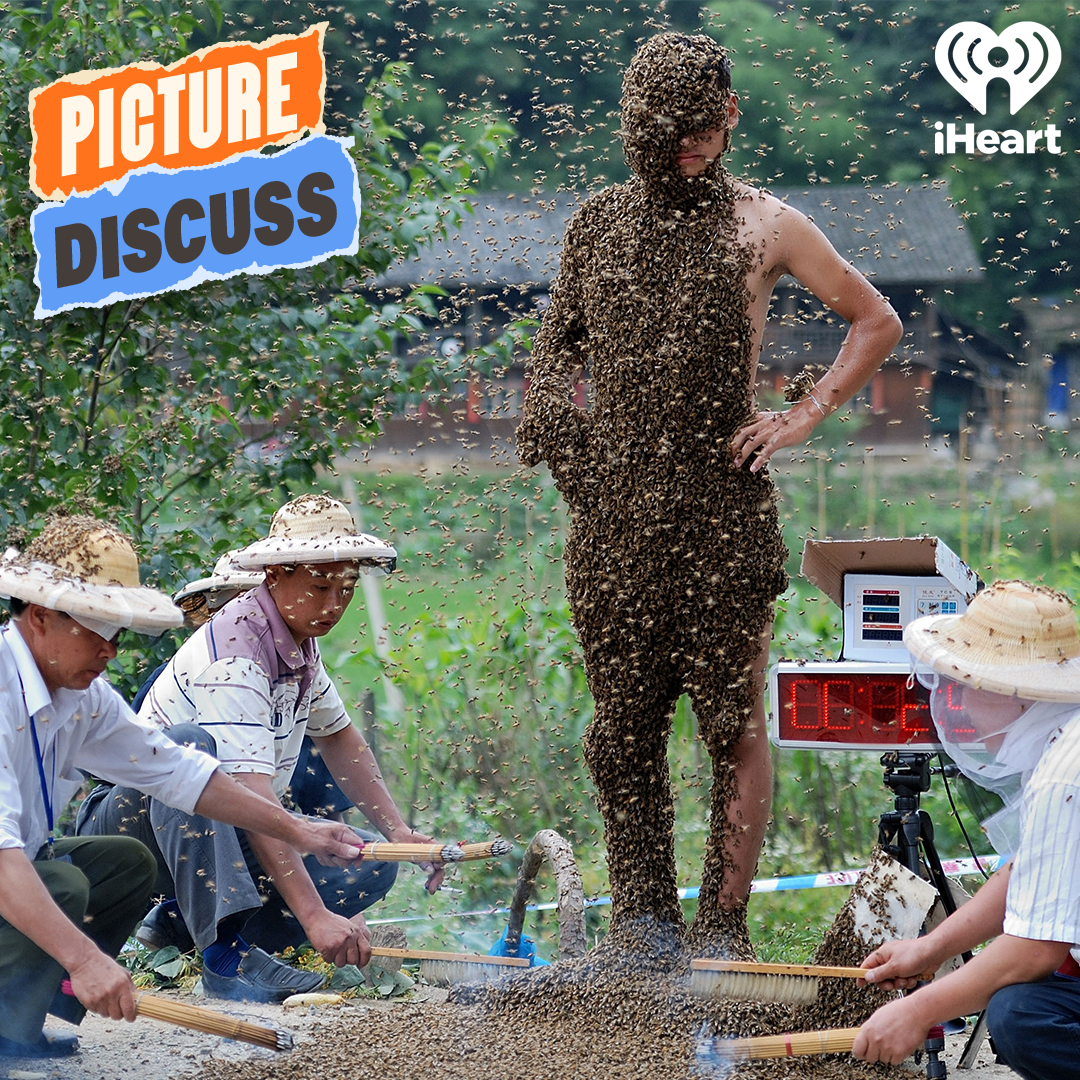 The Bee Man (Michael Hing & Justin Hamilton)