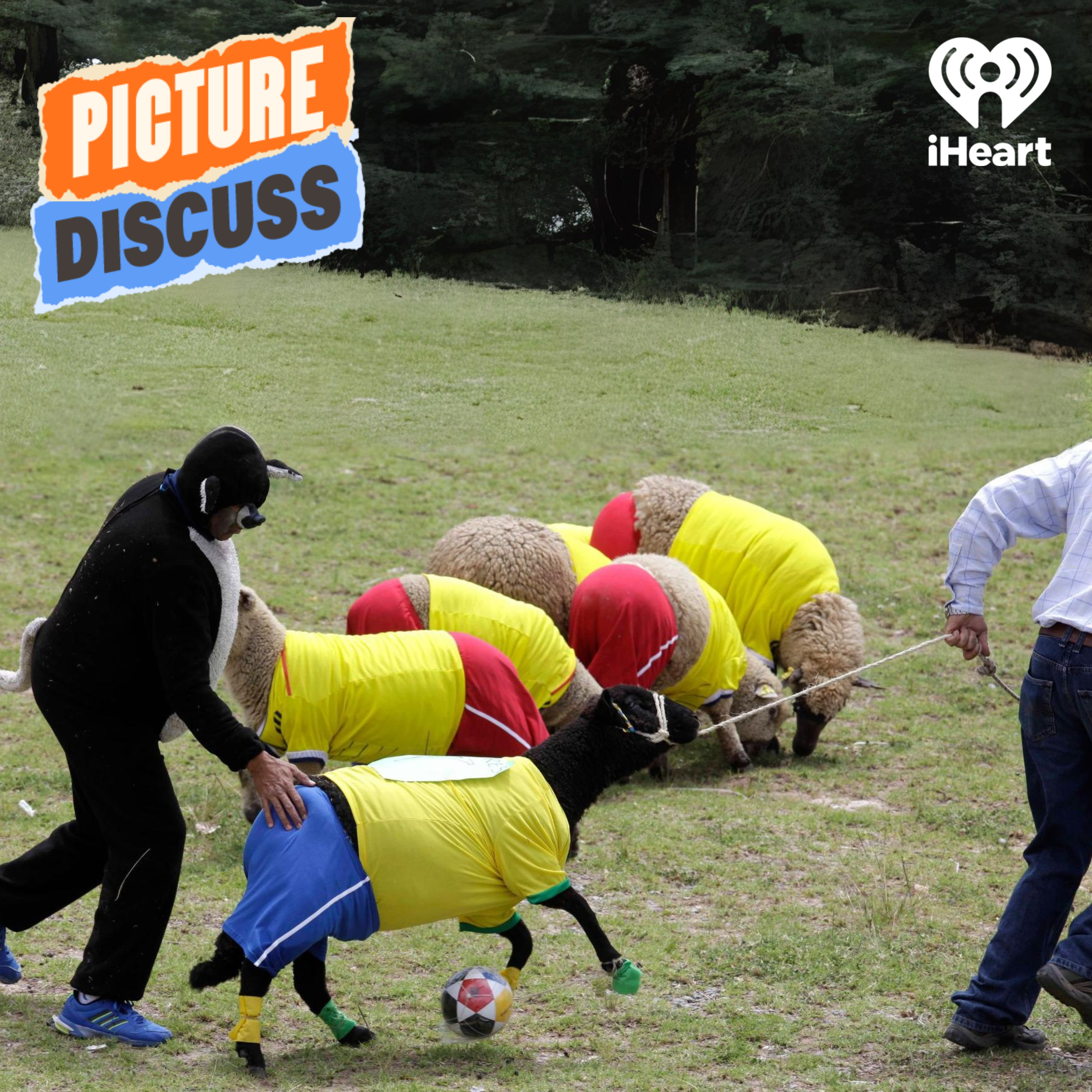 Sheep Soccer (Alex Ward & Chris Parker)