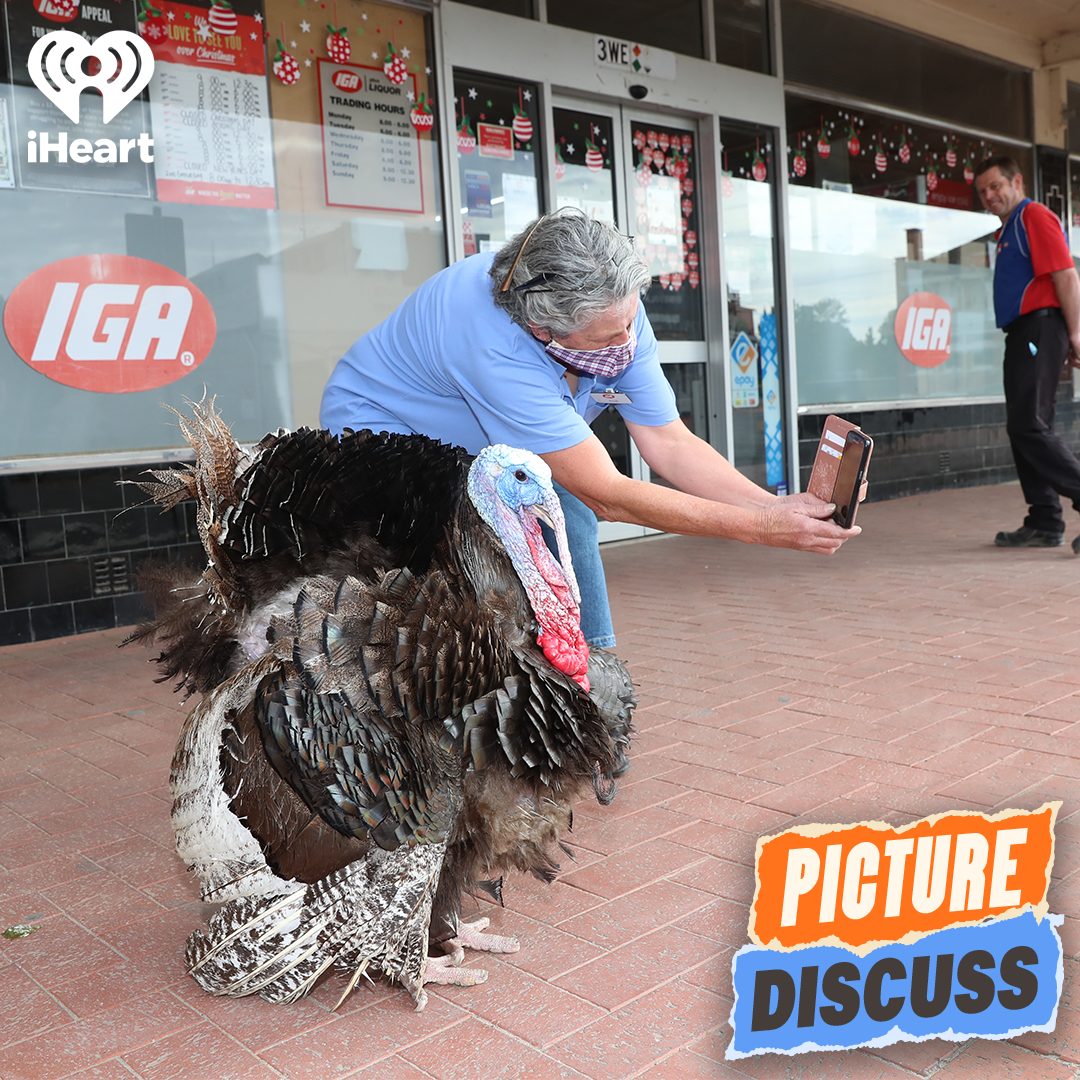 The Turkey Selfie (Lewis Hobba & Alex Lee)