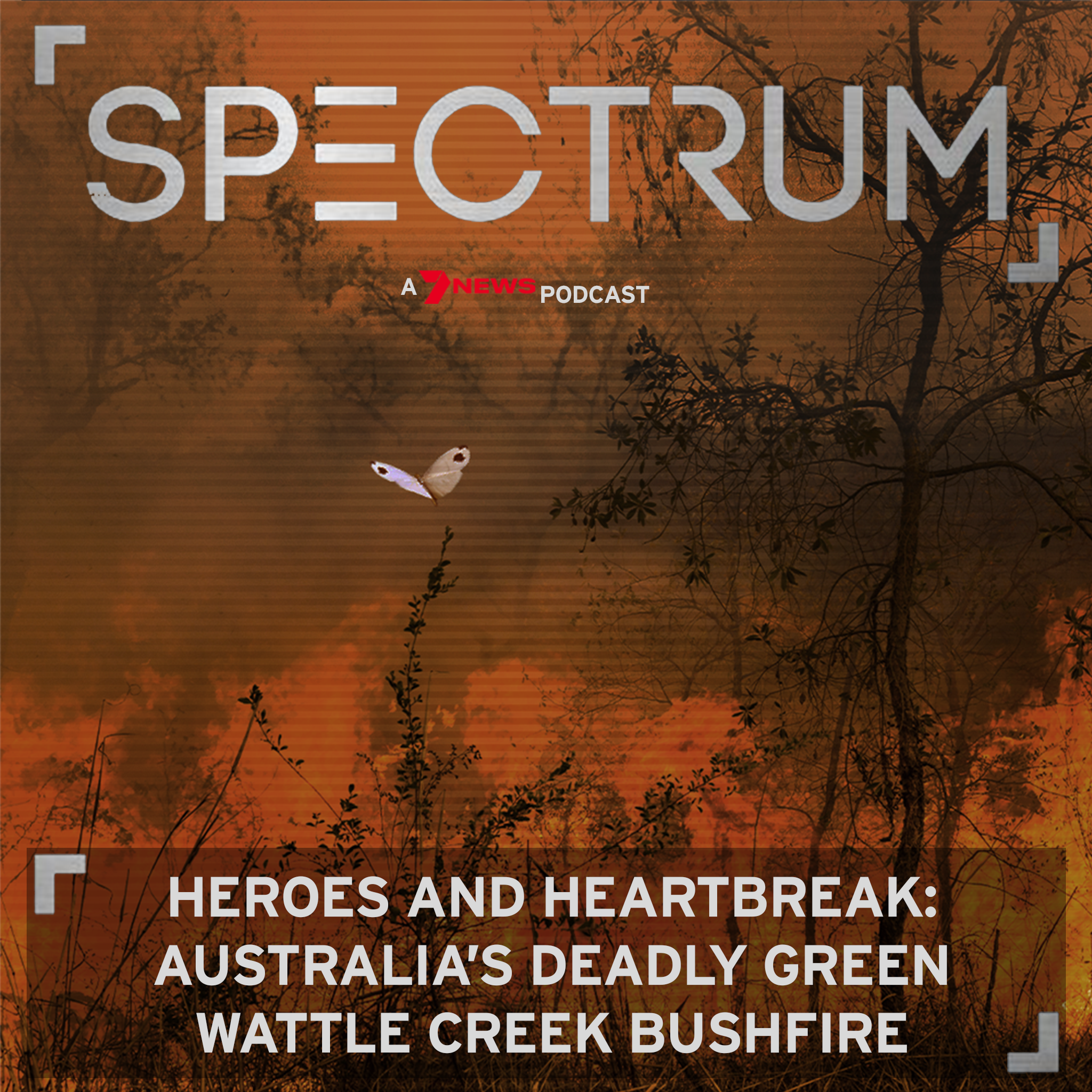 Heroes and Heartbreak: Australia's Deadly Green Wattle Creek Bushfire