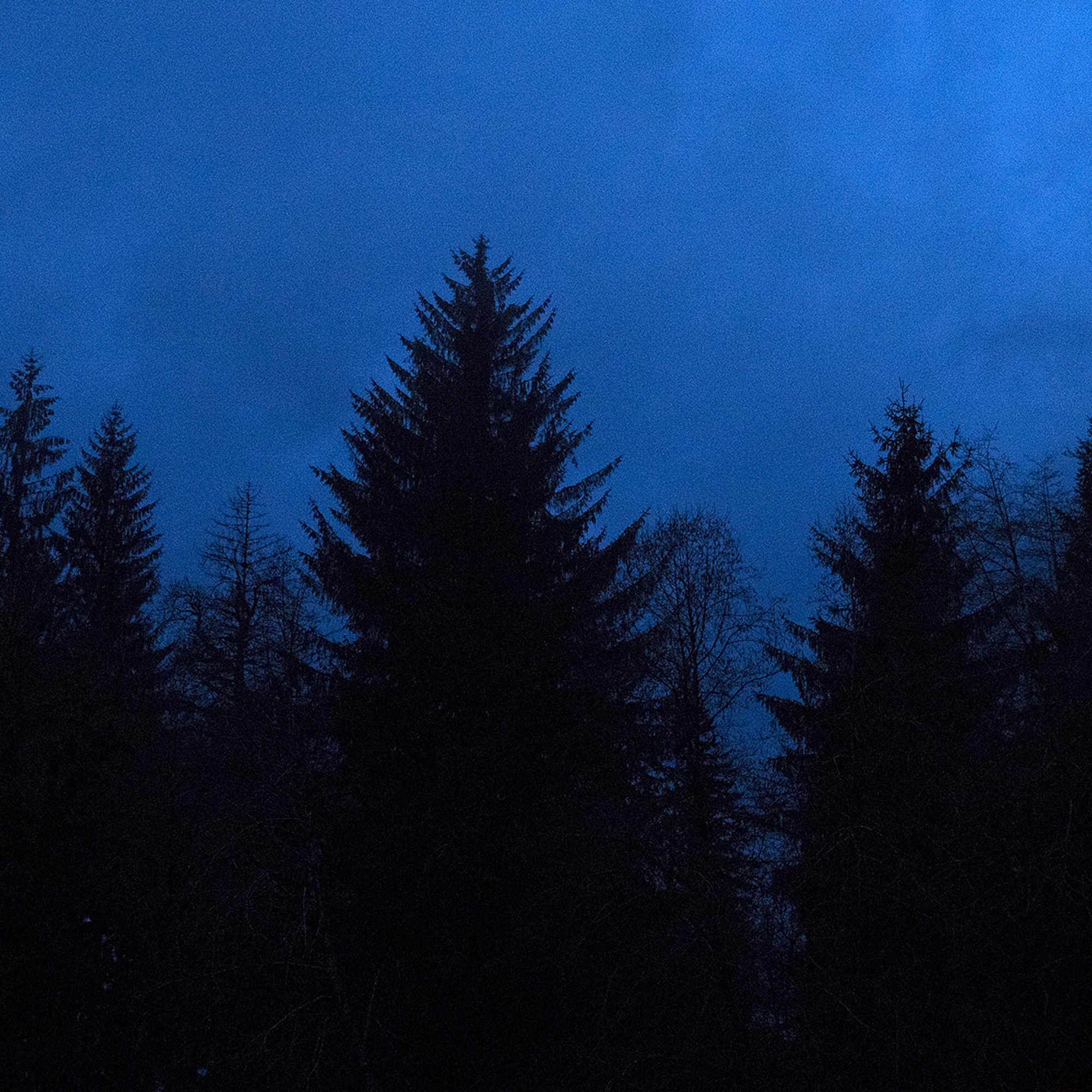 The quietest place on earth