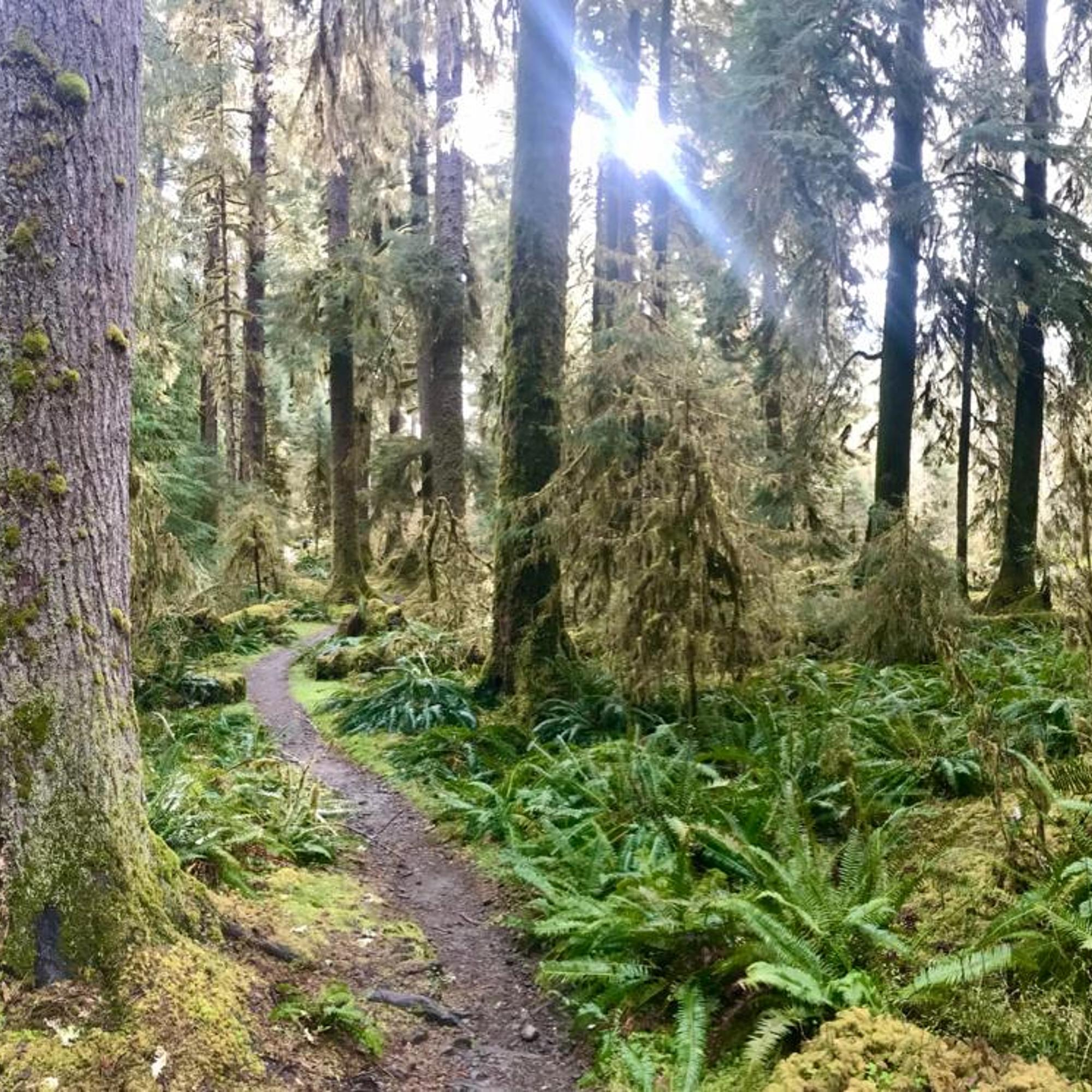 Sounds from the wild: frogs, elk and snowmelt