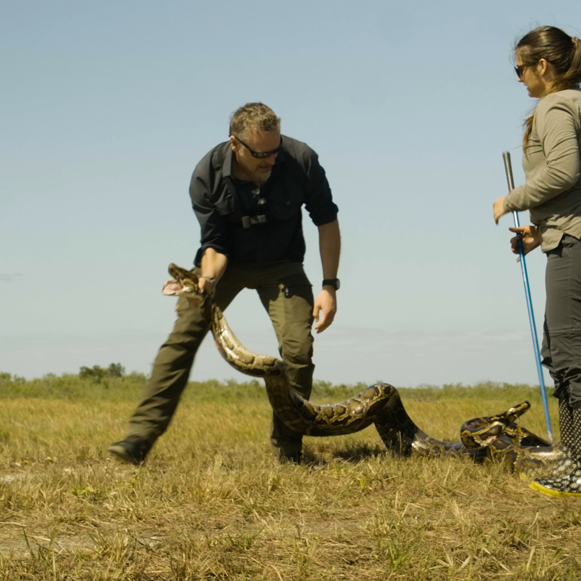 The Wild with Chris Morgan