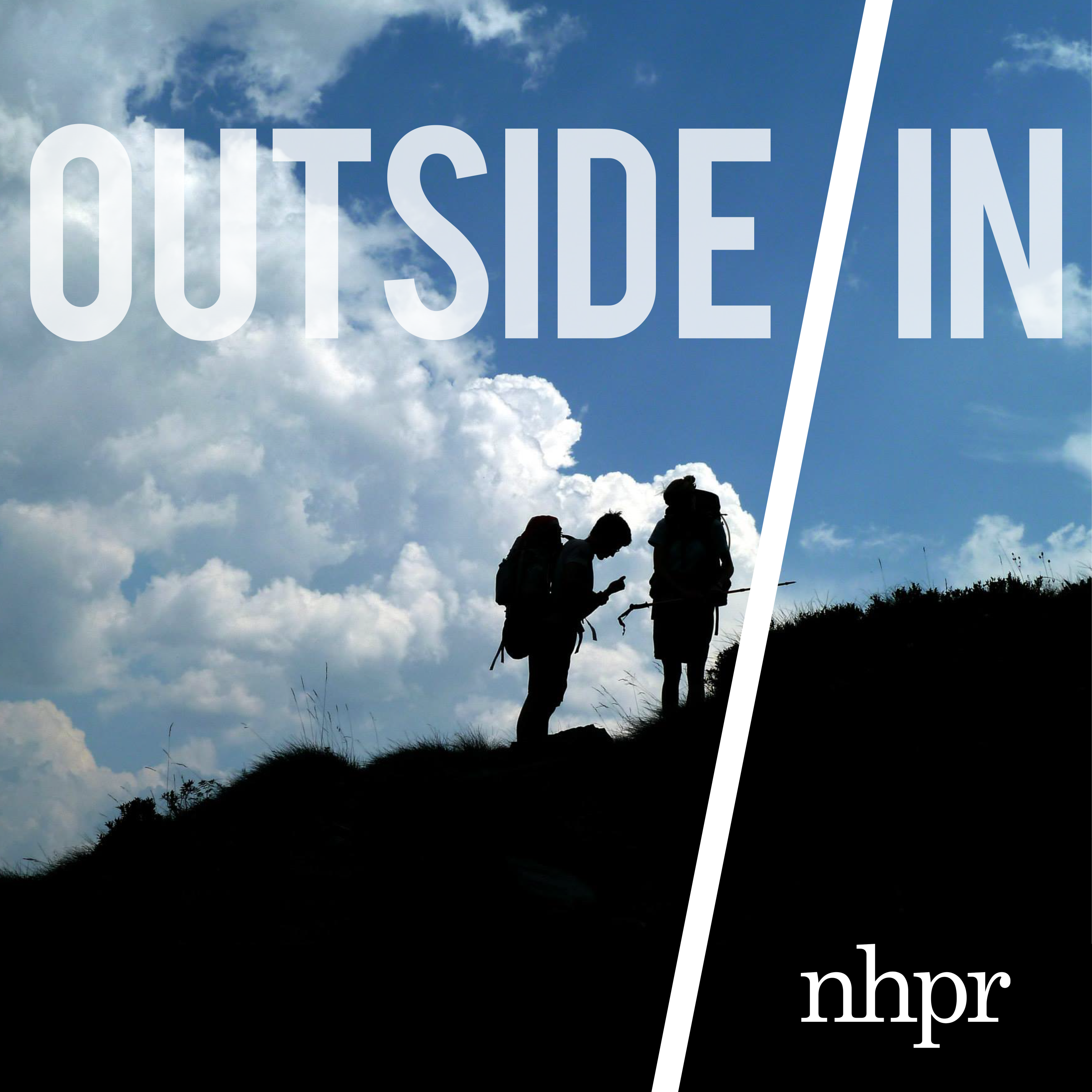 The Wild presents Outside/In: Not everyone is wild about wild horses
