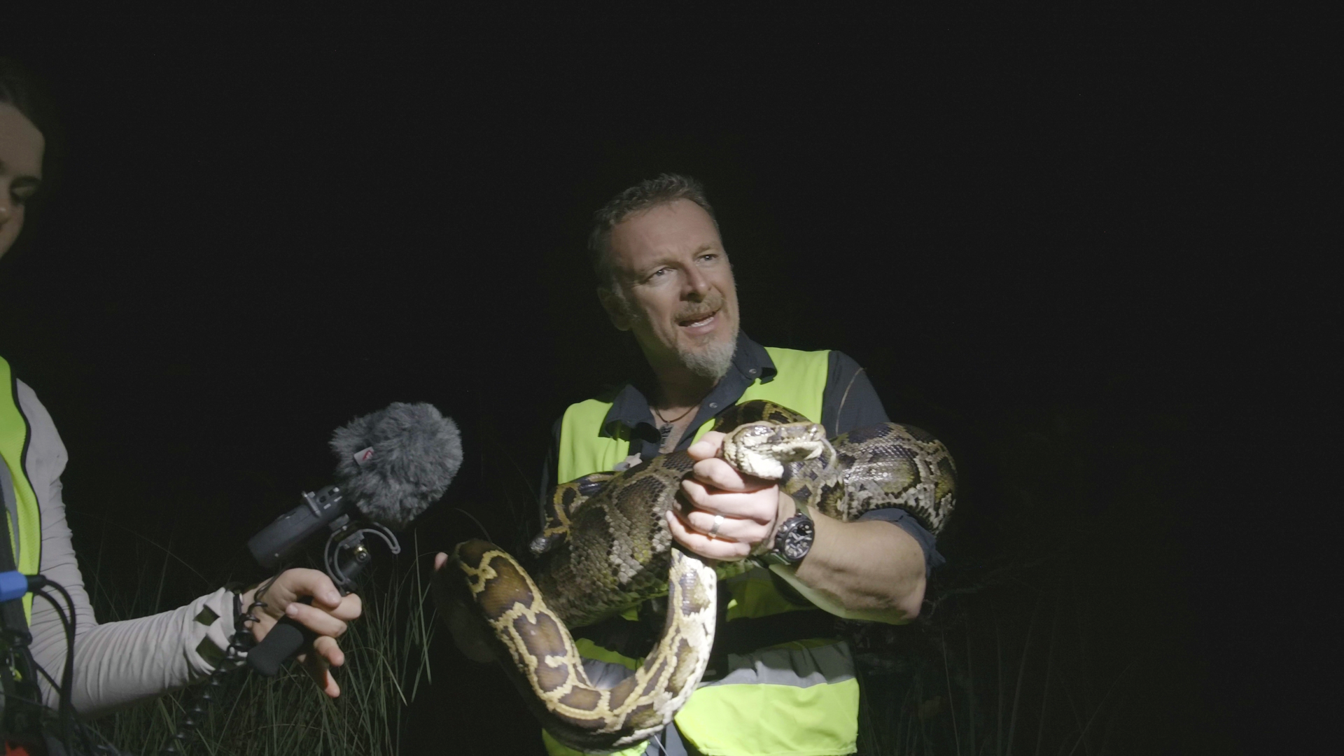 Everglades National Park: Invasion of the Burmese pythons (reprise)