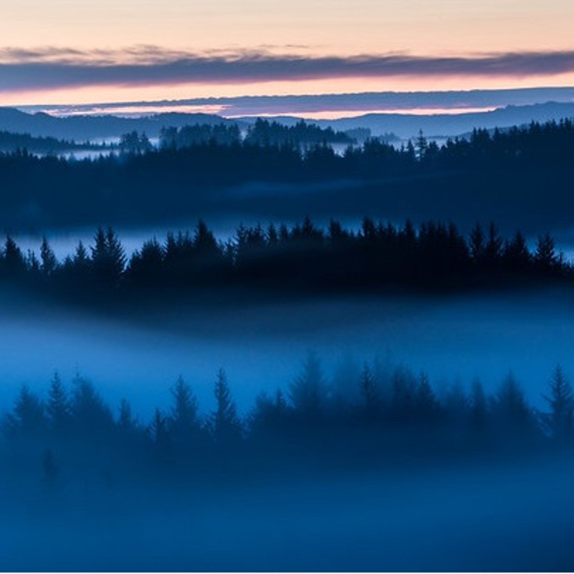 Escape to the sounds of nature