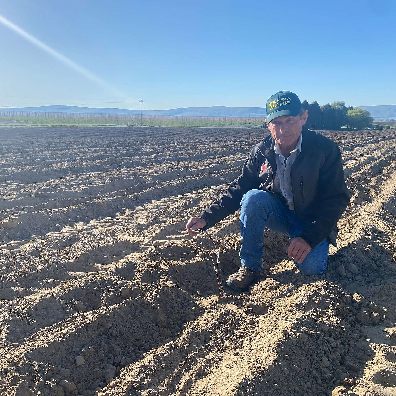 Low snowpack plus dry summer means tough choices for Eastern Washington farmers