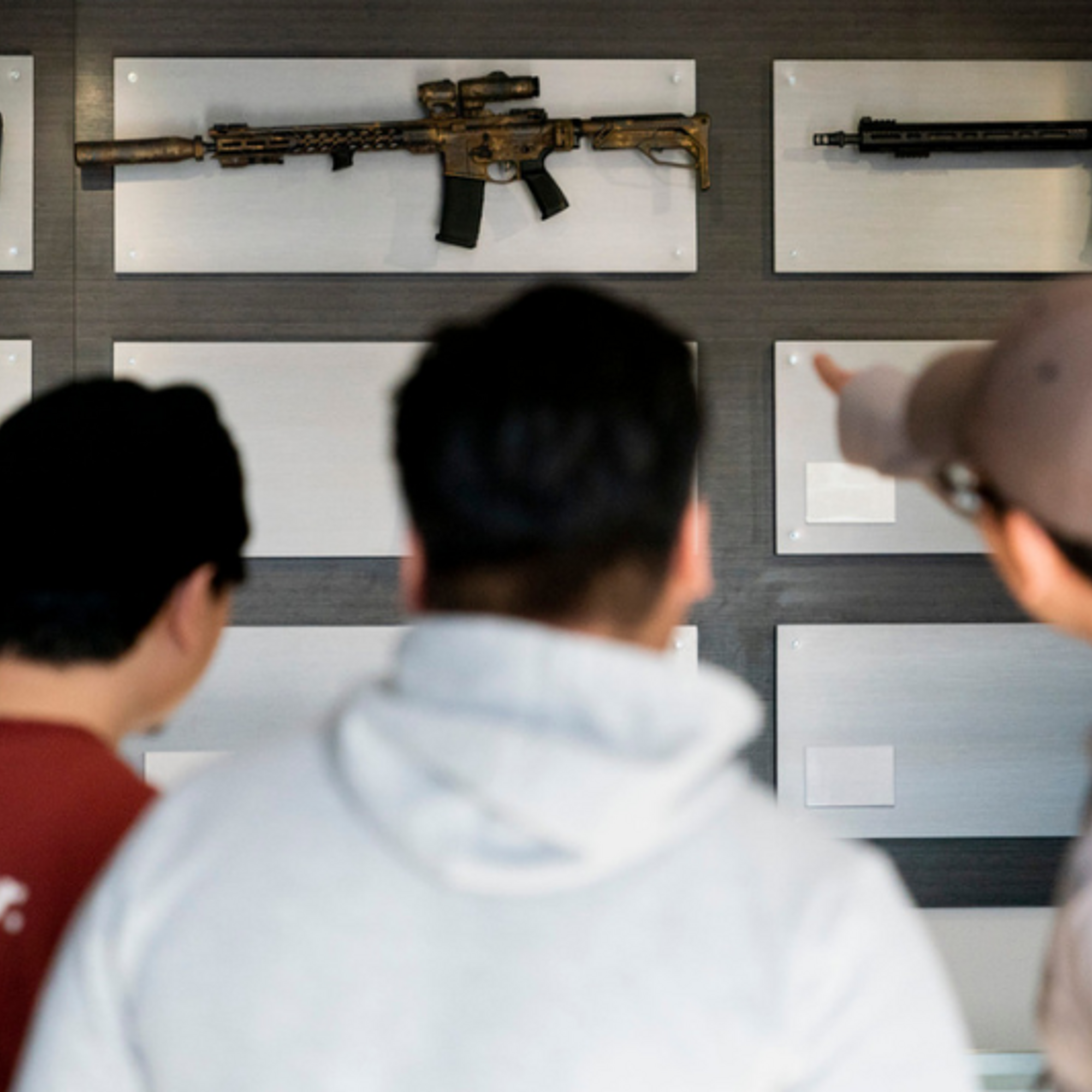 Words In Review: Should we say “assault weapons”? episode artwork