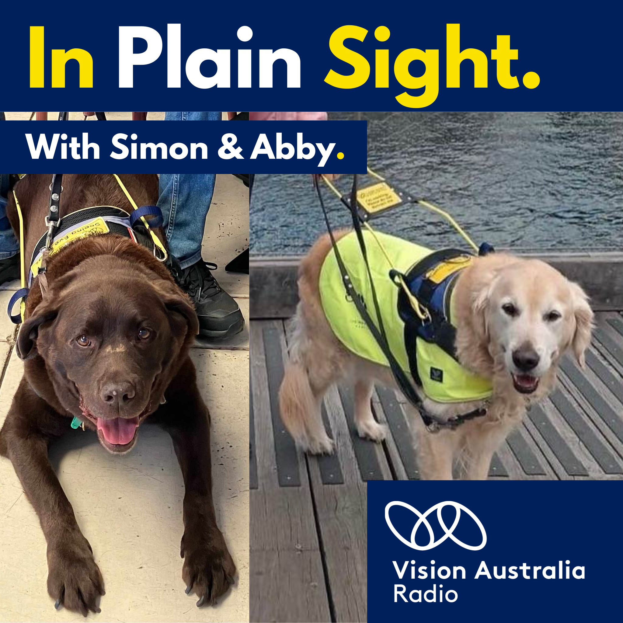 Guiding the way: Life with a Seeing Eye Dog
