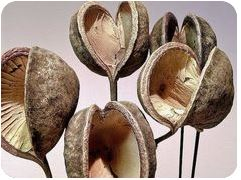 Episode 1 - Introduction to the podcast