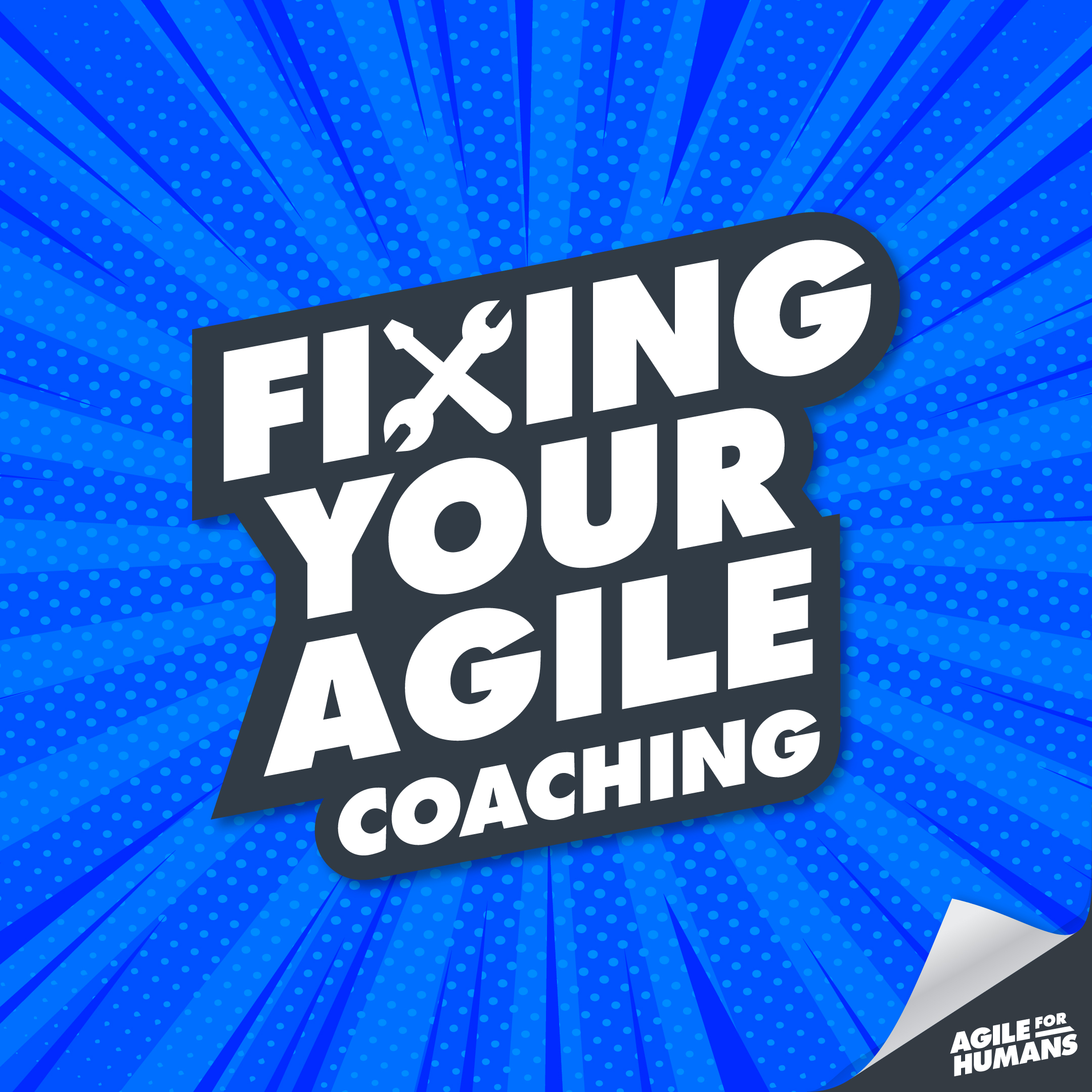 FYAC: Excellence in Agile Coaching with Bob Galen