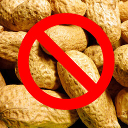 Dealing With Food Allergies