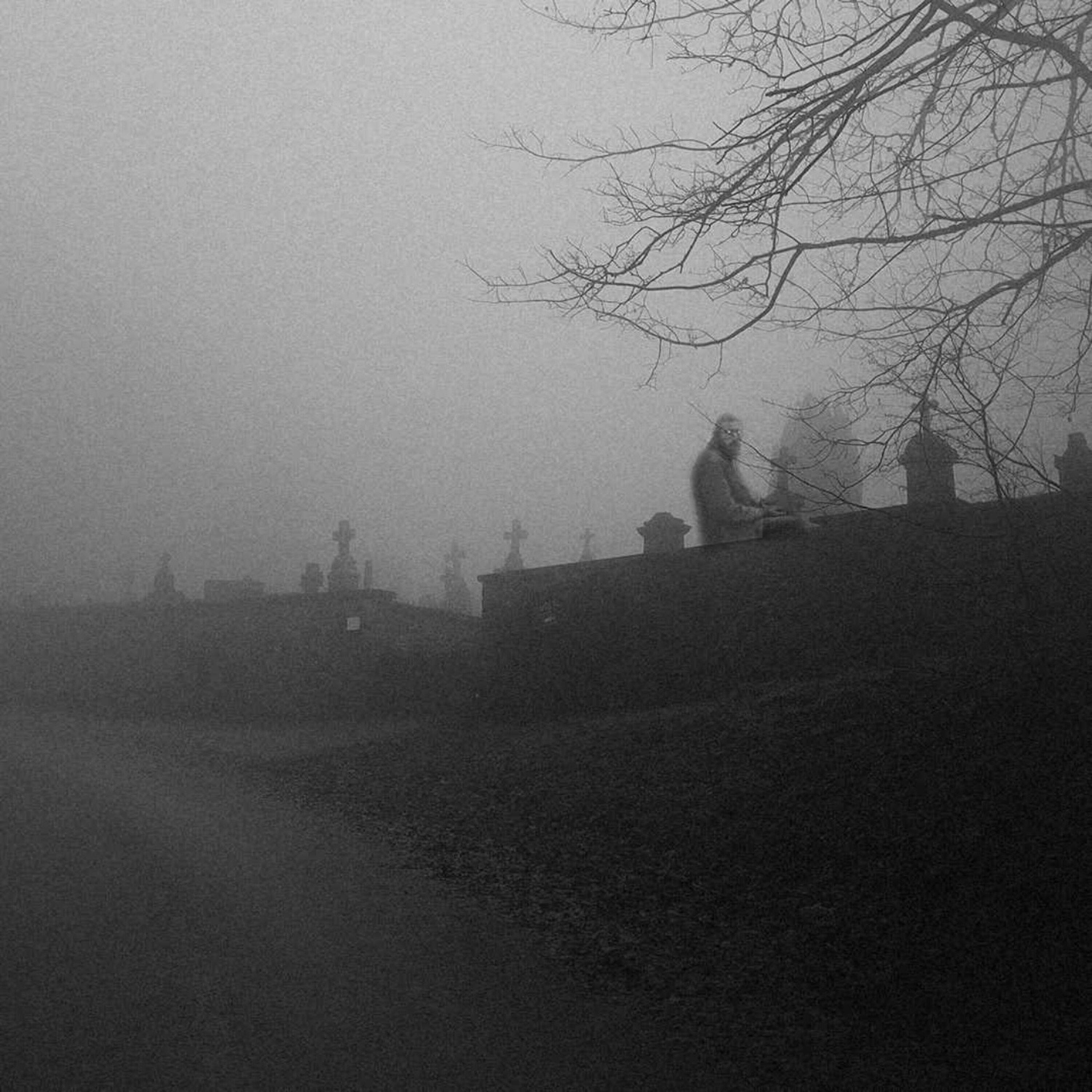 La niebla del cementerio (y otras historias paranormales)