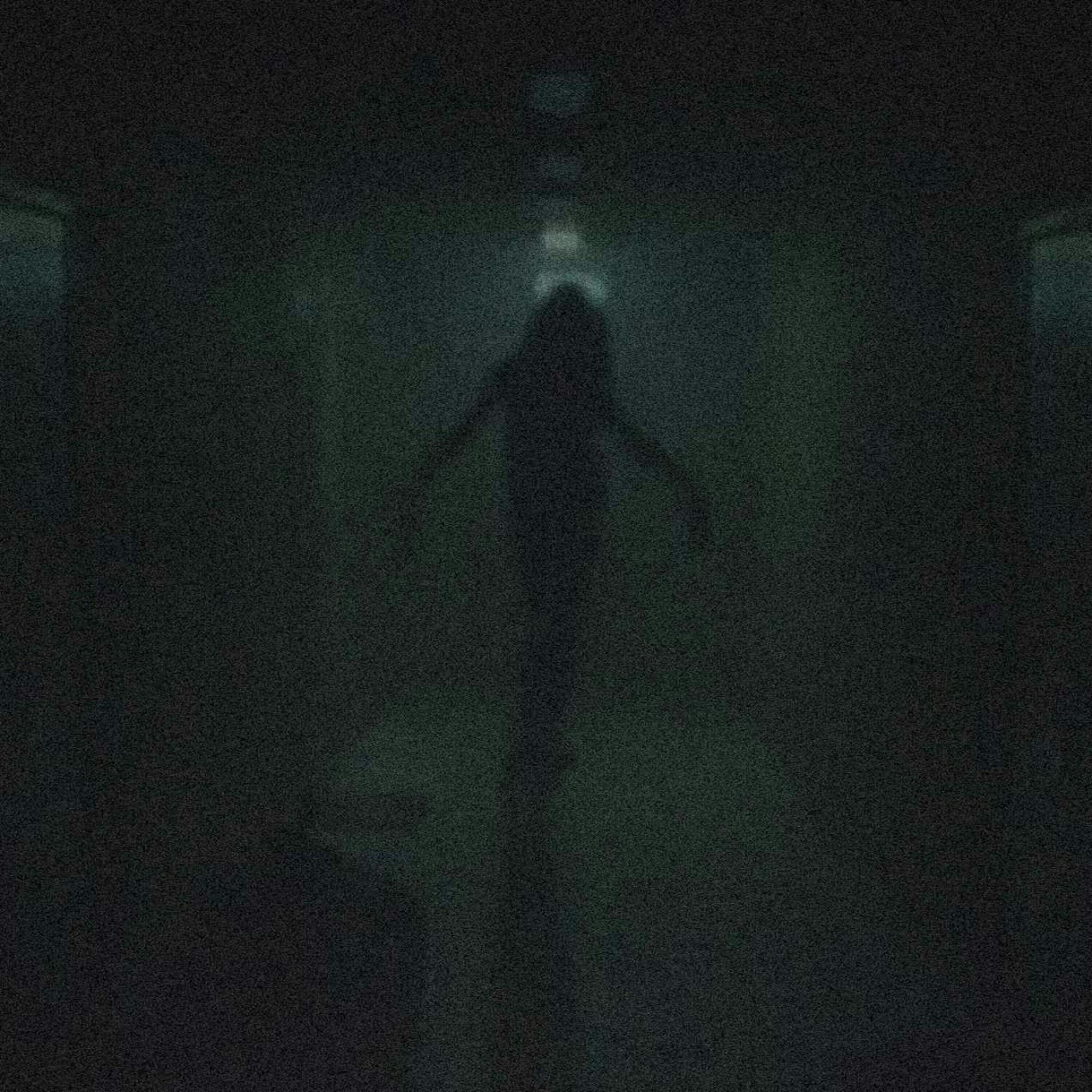 Entes demoniacos en mi departamento