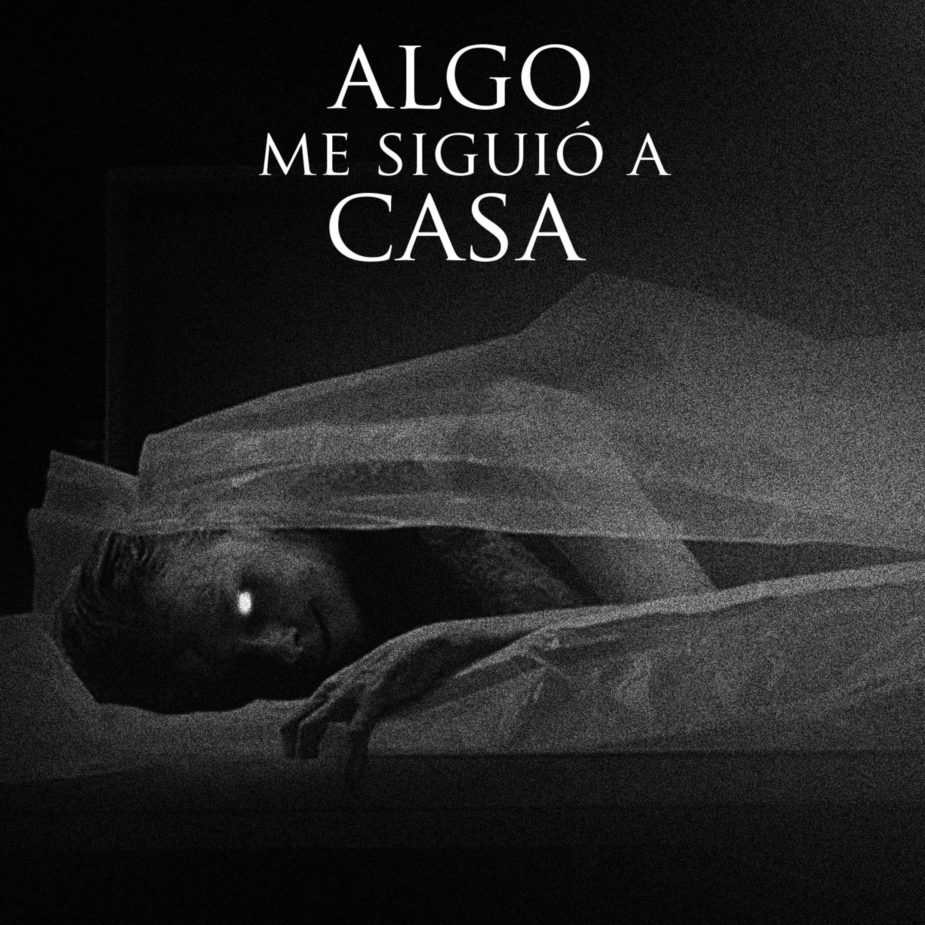 Algo me siguió de la morgue (historias de terror)