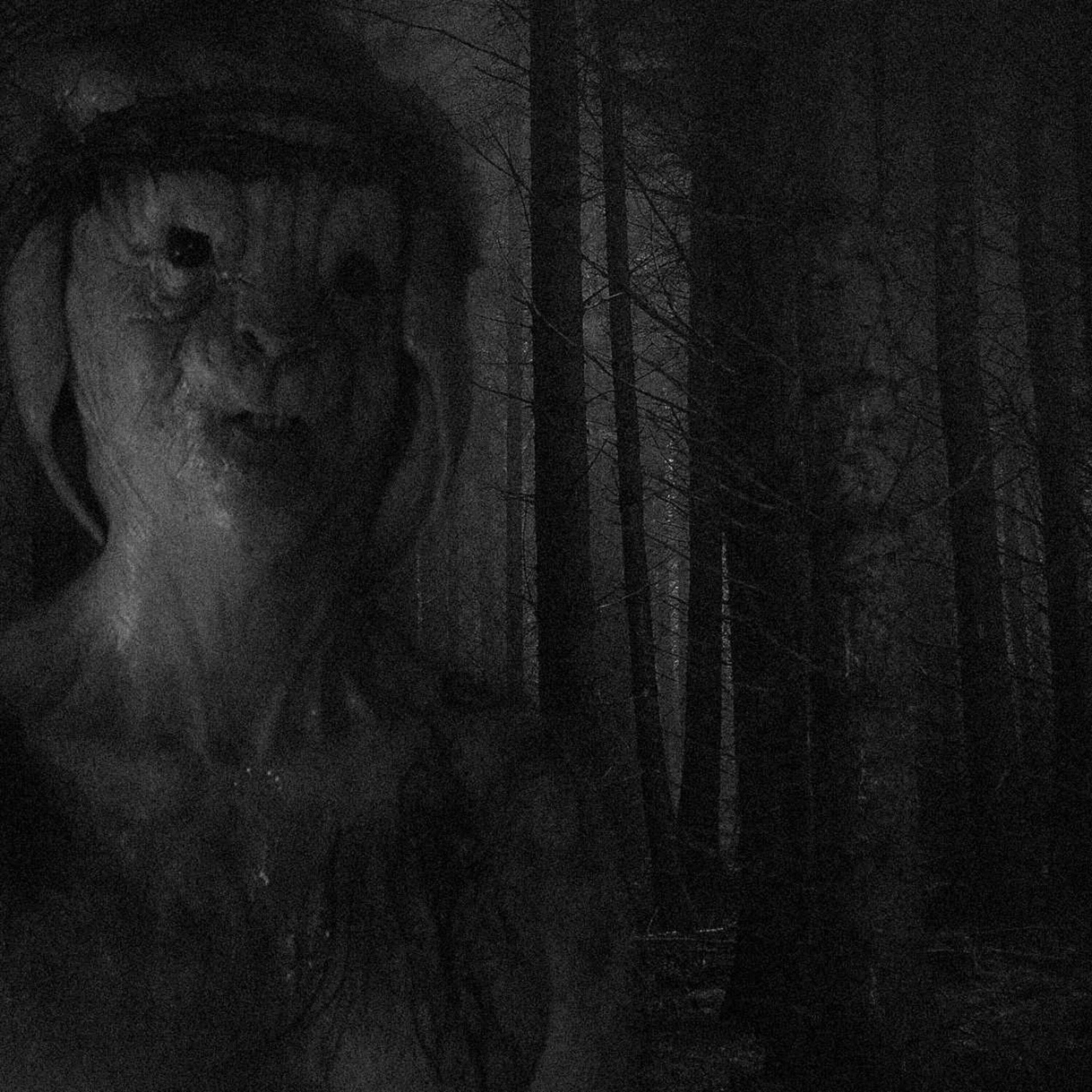 Relatos de nahuales, skinwalkers y brujas que se transforman en animales