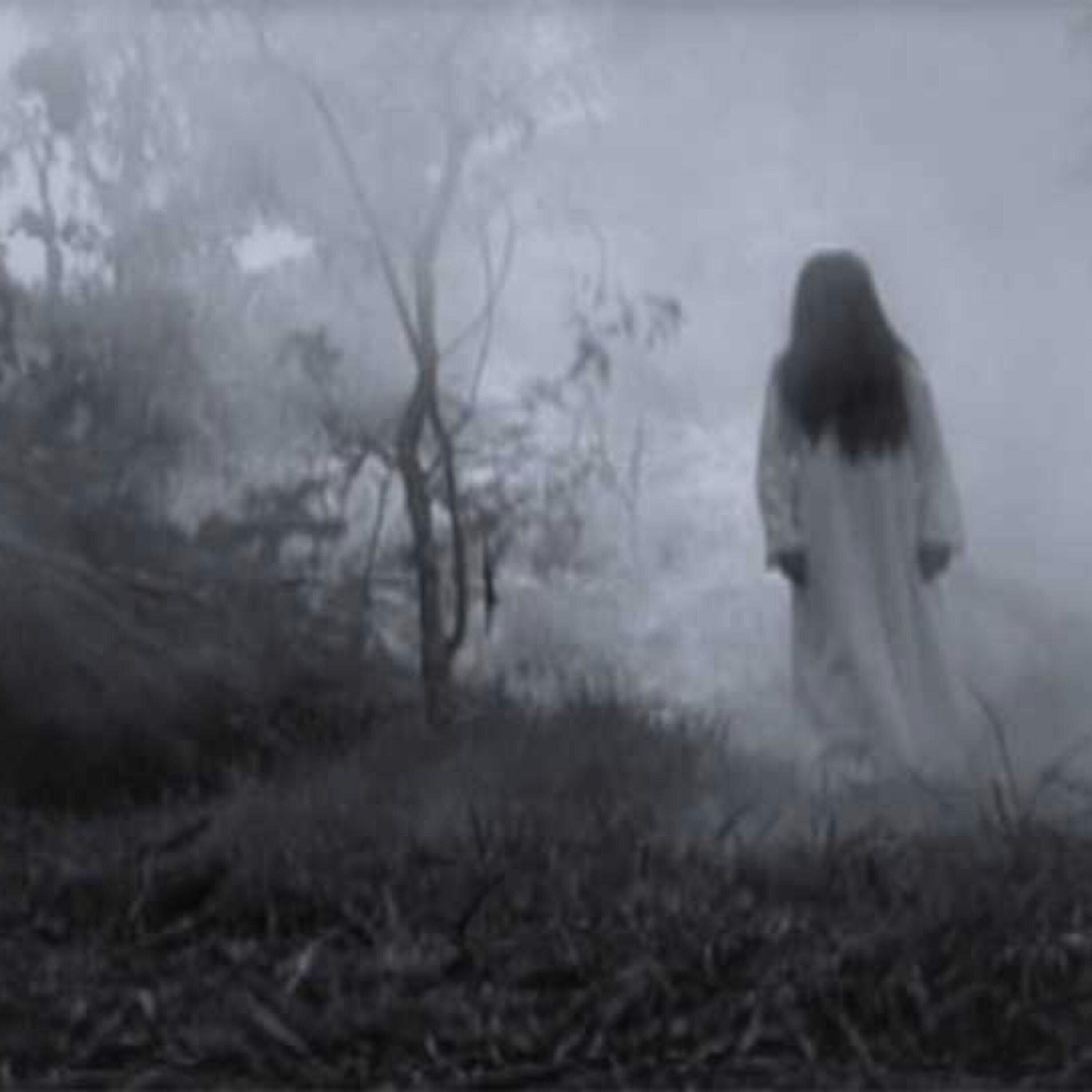 Anoche vi a LA LLORONA (y otros relatos paranormales)