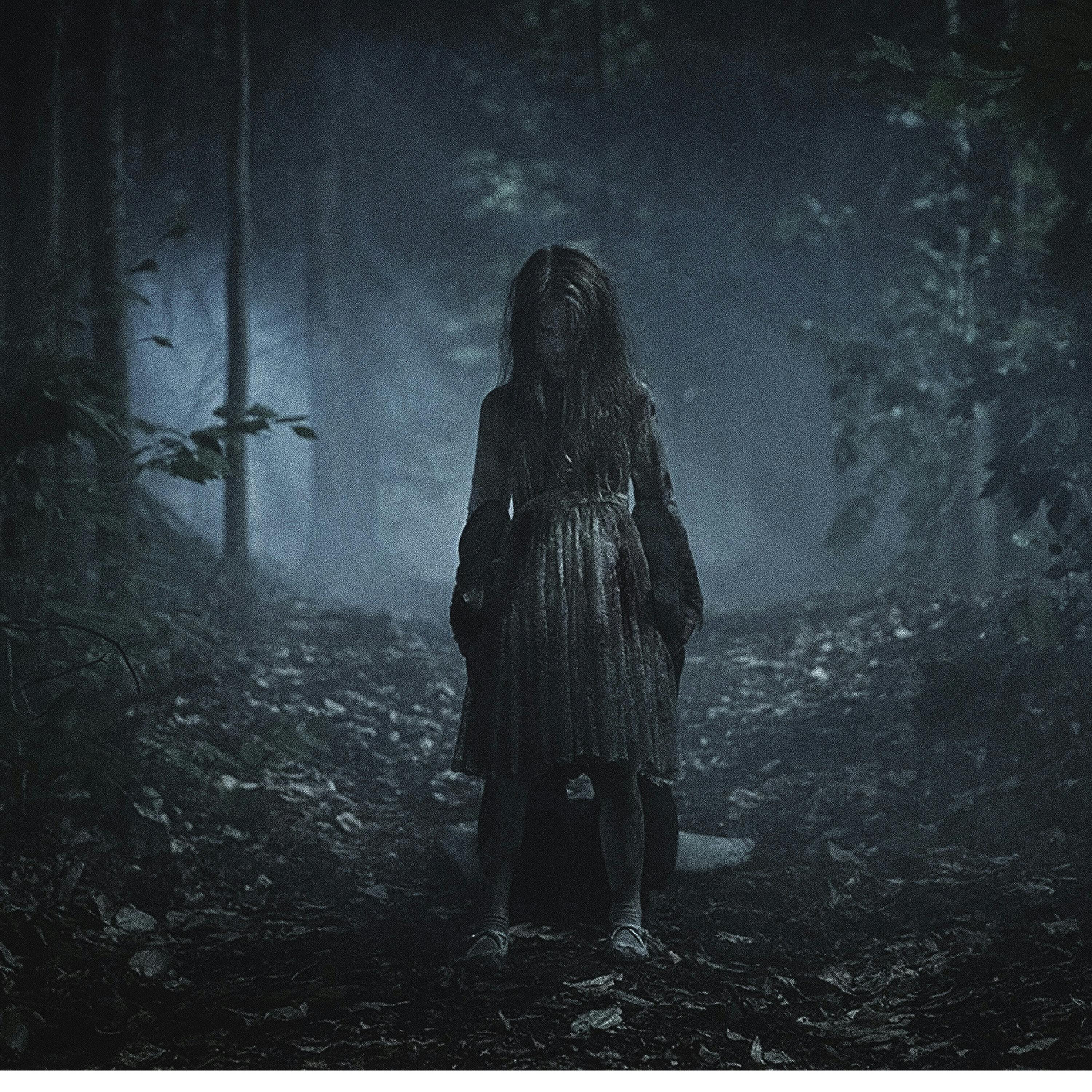 Canasta de historias de horror Vol. 5