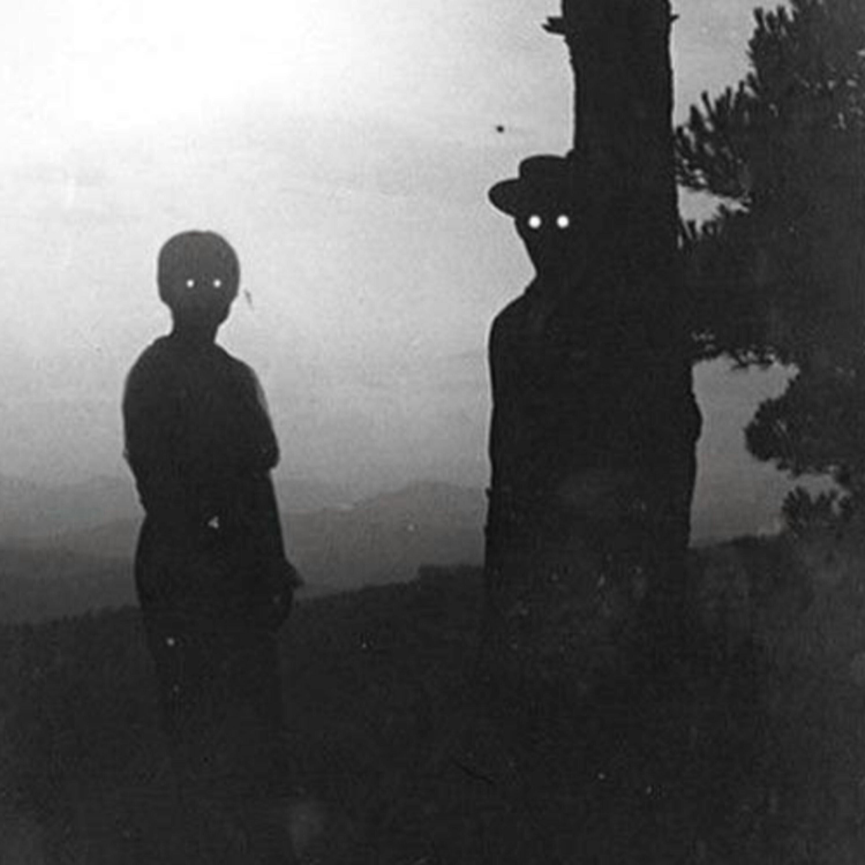 Los espíritus en la niebla