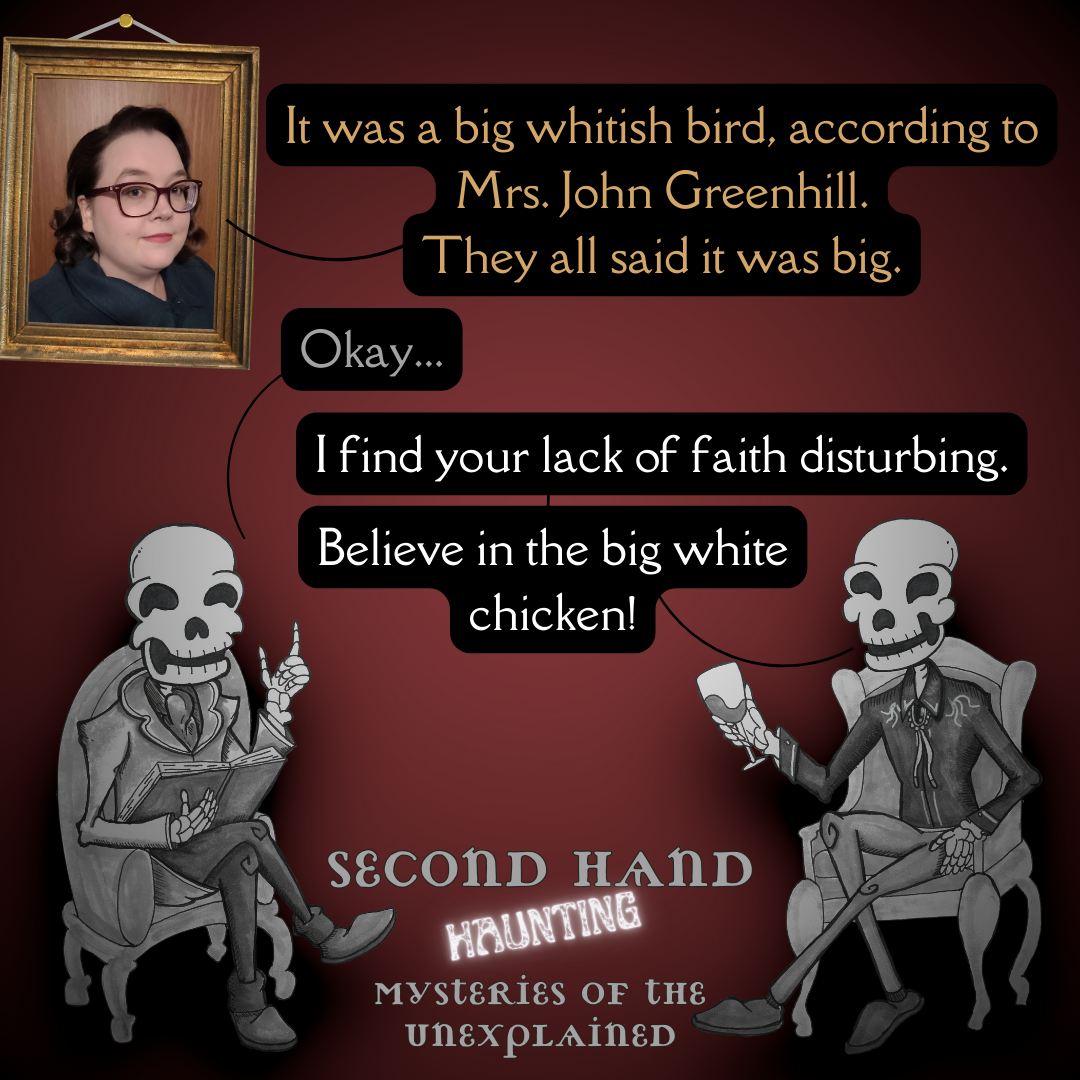 Ep29 - Mysteries of the Unexplained w/Amber Patrick