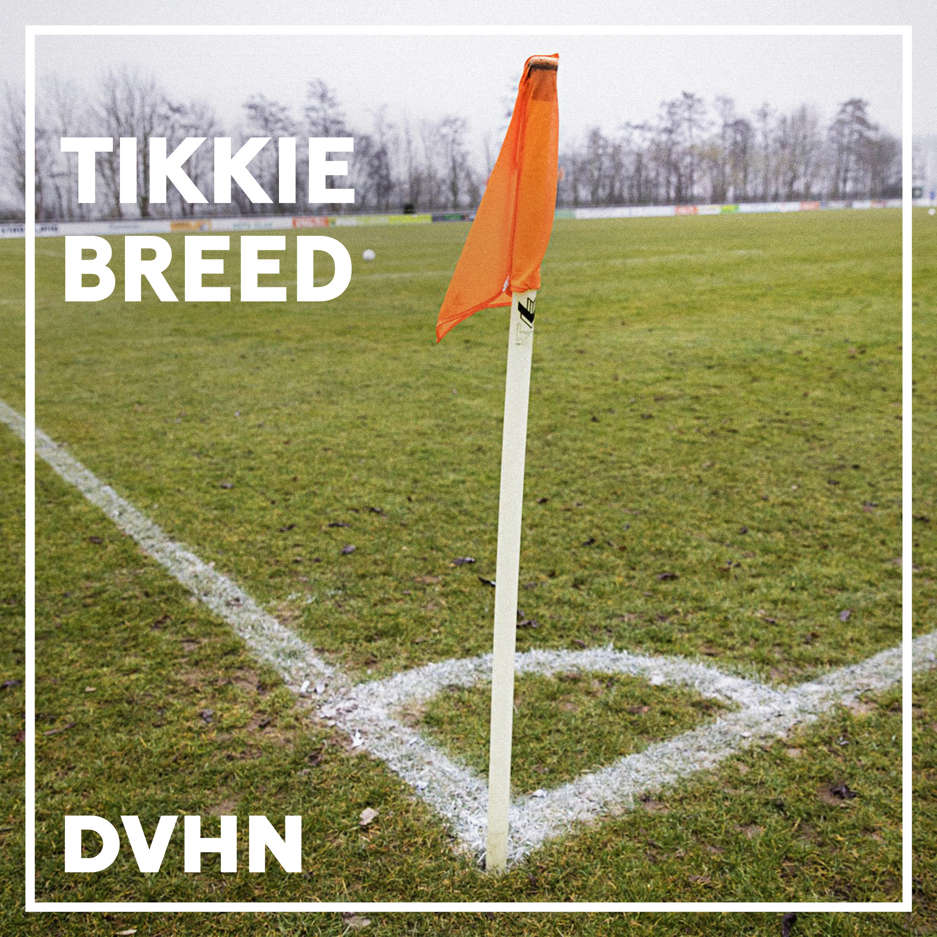 22. De tweeling van VV Annen over promotiedromen en een dronken geit episode artwork