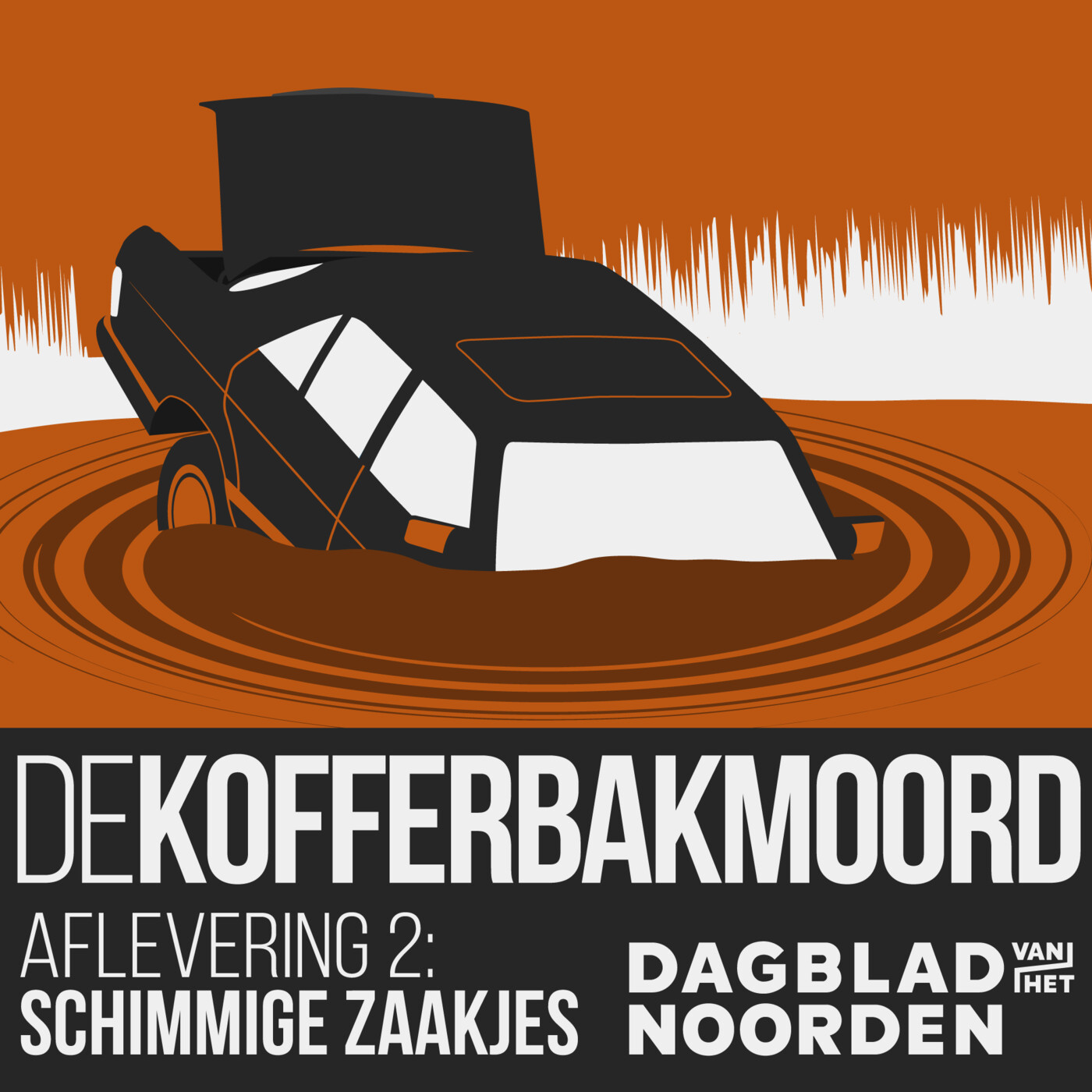 2. Schimmige zaakjes