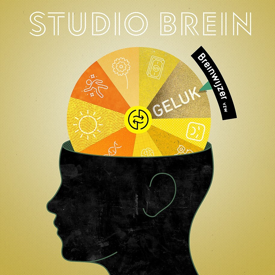 Studio Brein