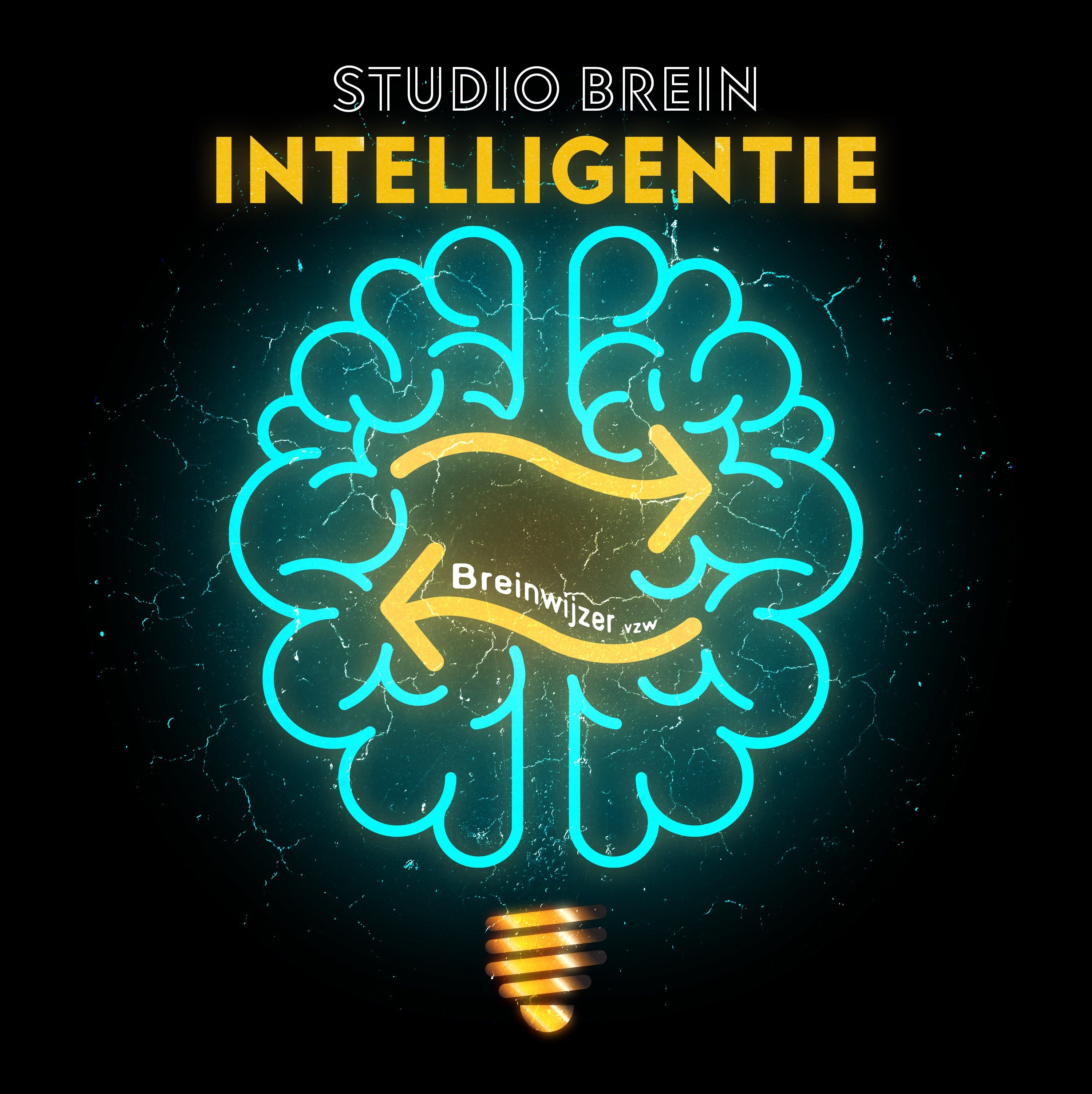Studio Brein