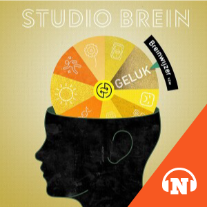 Studio Brein