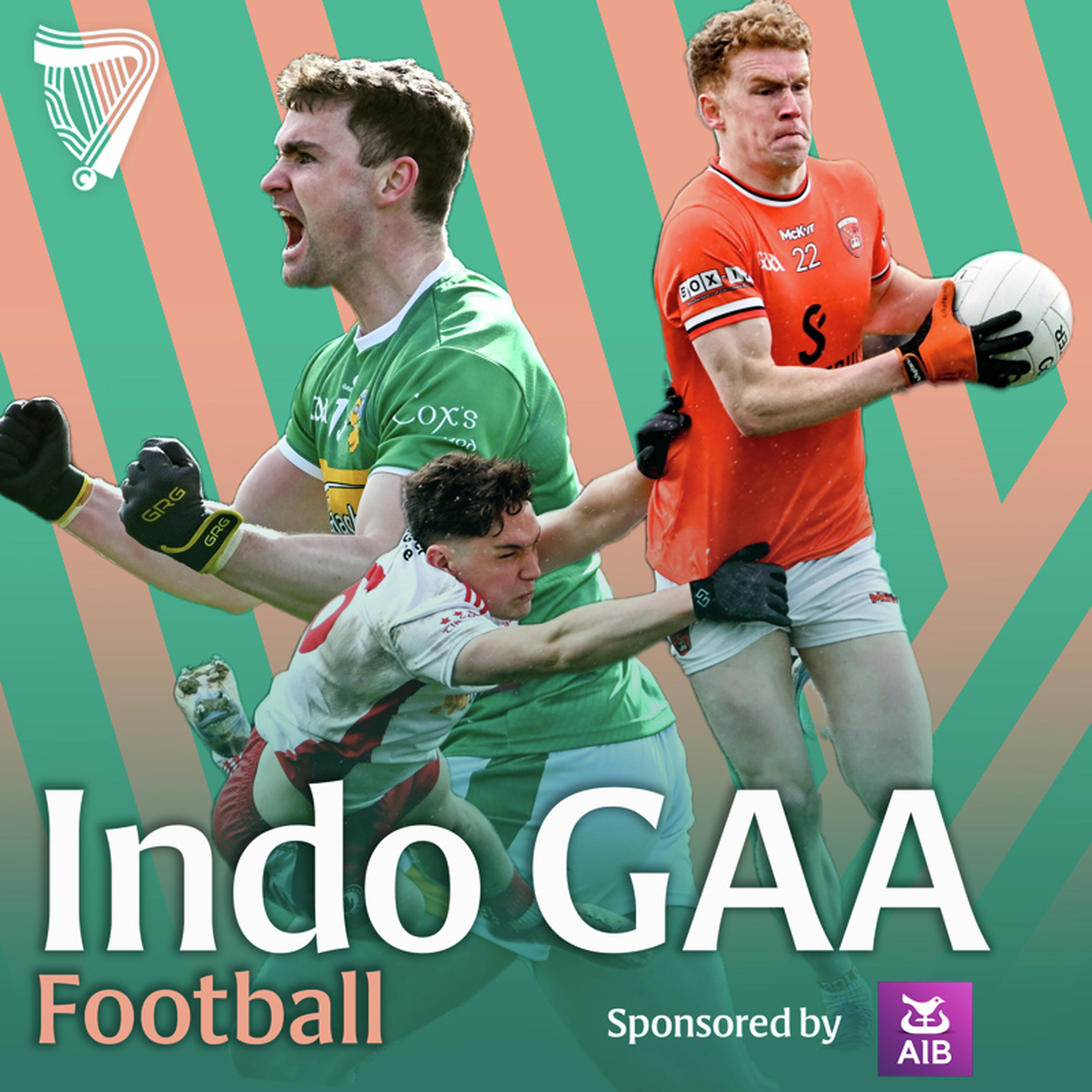 Championship coverage under scrutiny | McConville on outside managers | Who is the Tailteann Cup really for? episode artwork