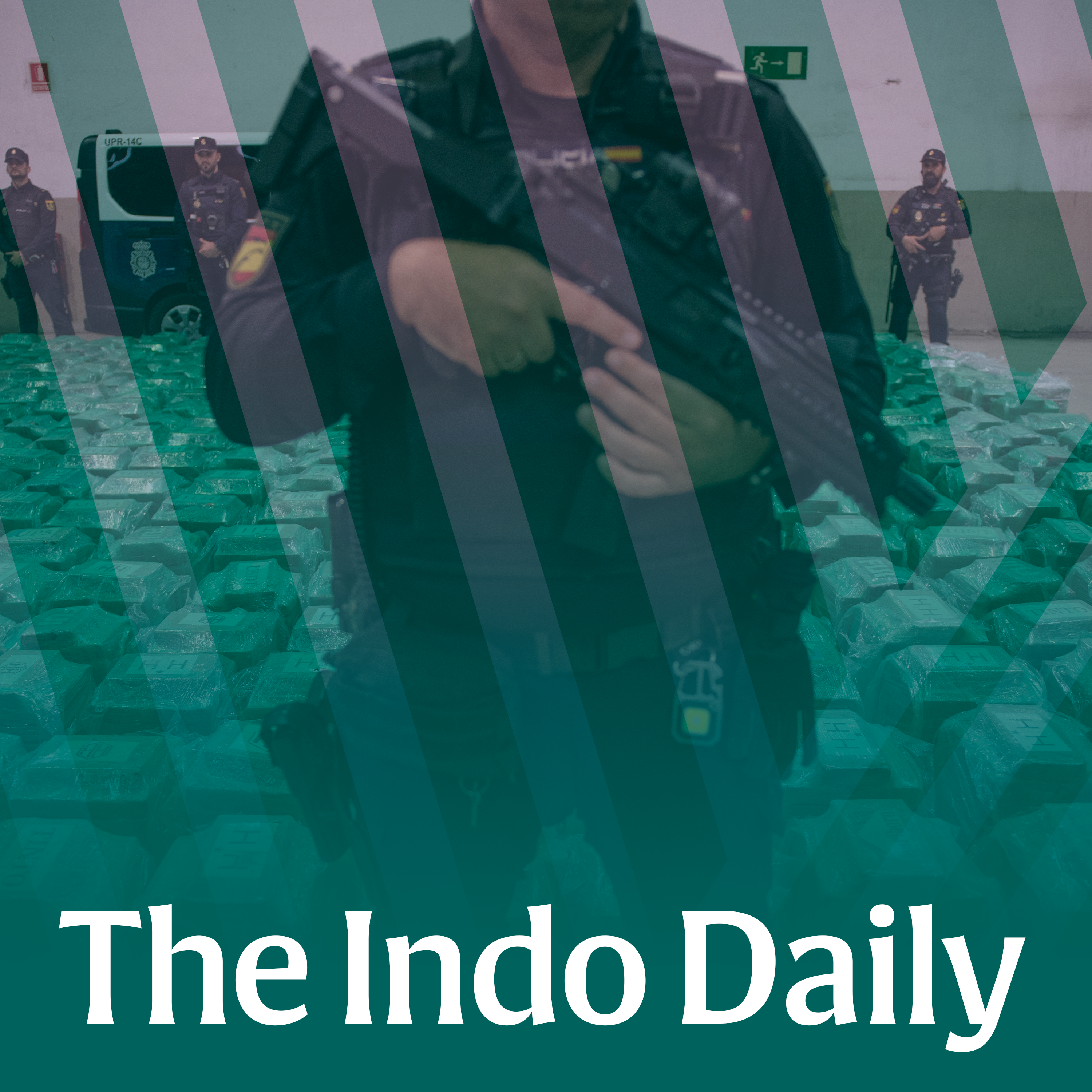 The Spanish drugs bust, and the Irish company linked to ‘minor royal’ and Russian influencer