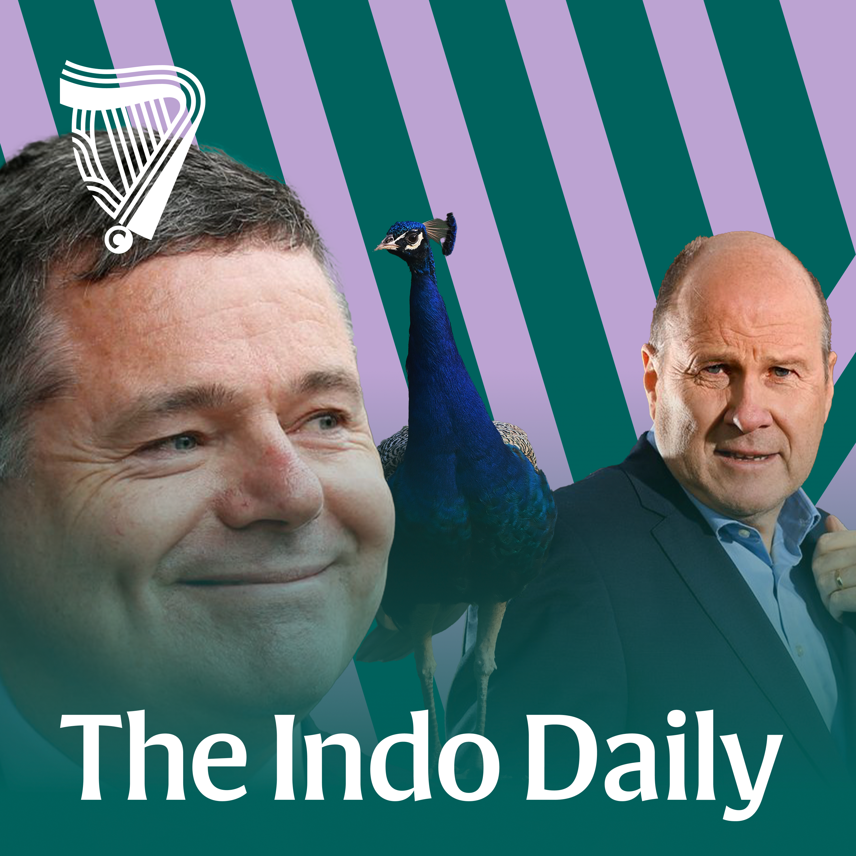 Indo Politics: Pas-conomics, succession, mood killers and emotional support peacocks