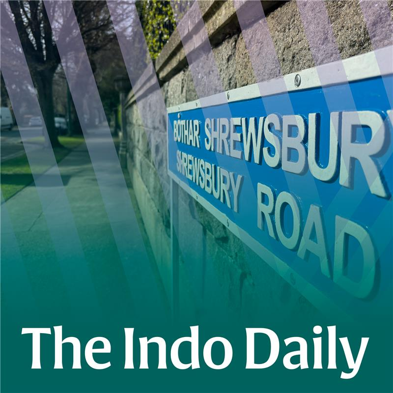 Millionaires' Row: What Dublin's Shrewsbury Road tells us about wealth in Ireland through the years