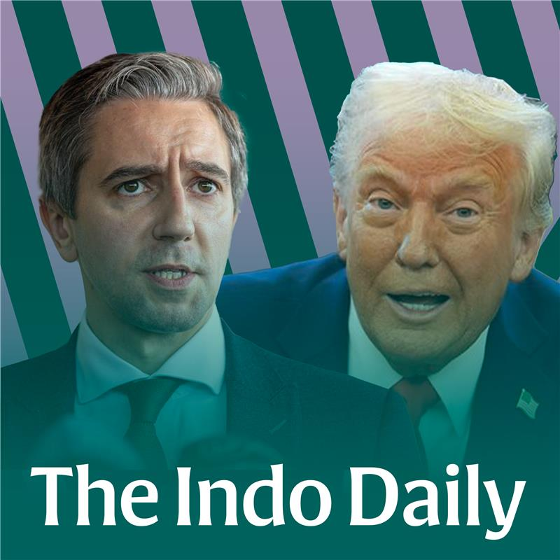 Global Turmoil: How Trump's market meltdown will hit your wallet