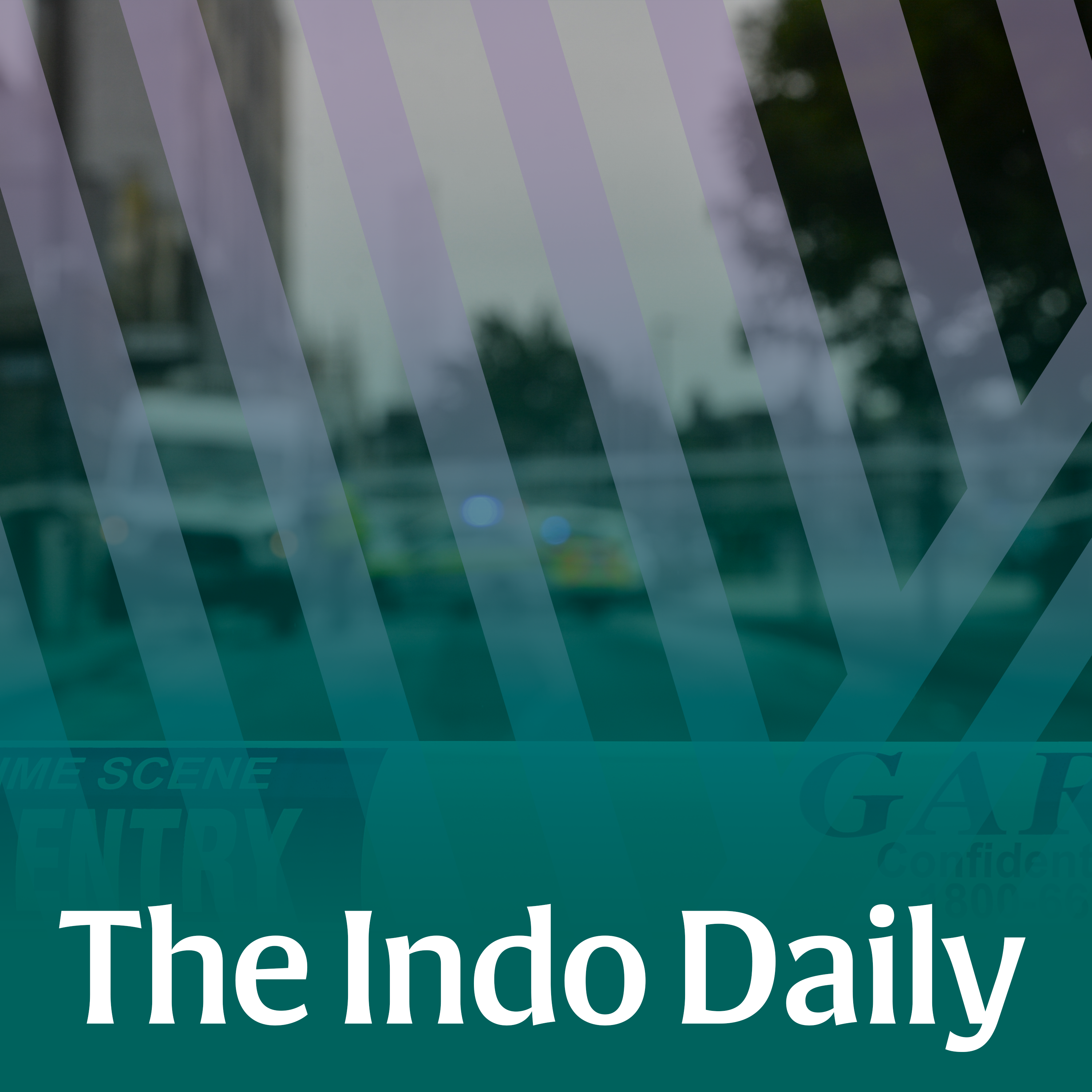 Inside the courtroom: Grisly details of Dublin cattle-iron torture attack emerge